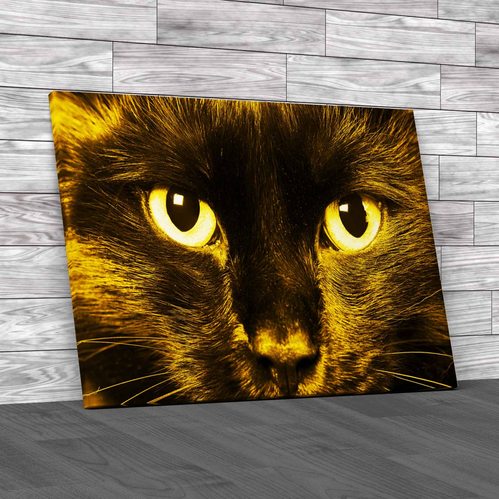 Gorgeous Cat Eyes Closeup Of Domestic Animal Canvas Print Large Picture Wall Art - Picture 10 of 12