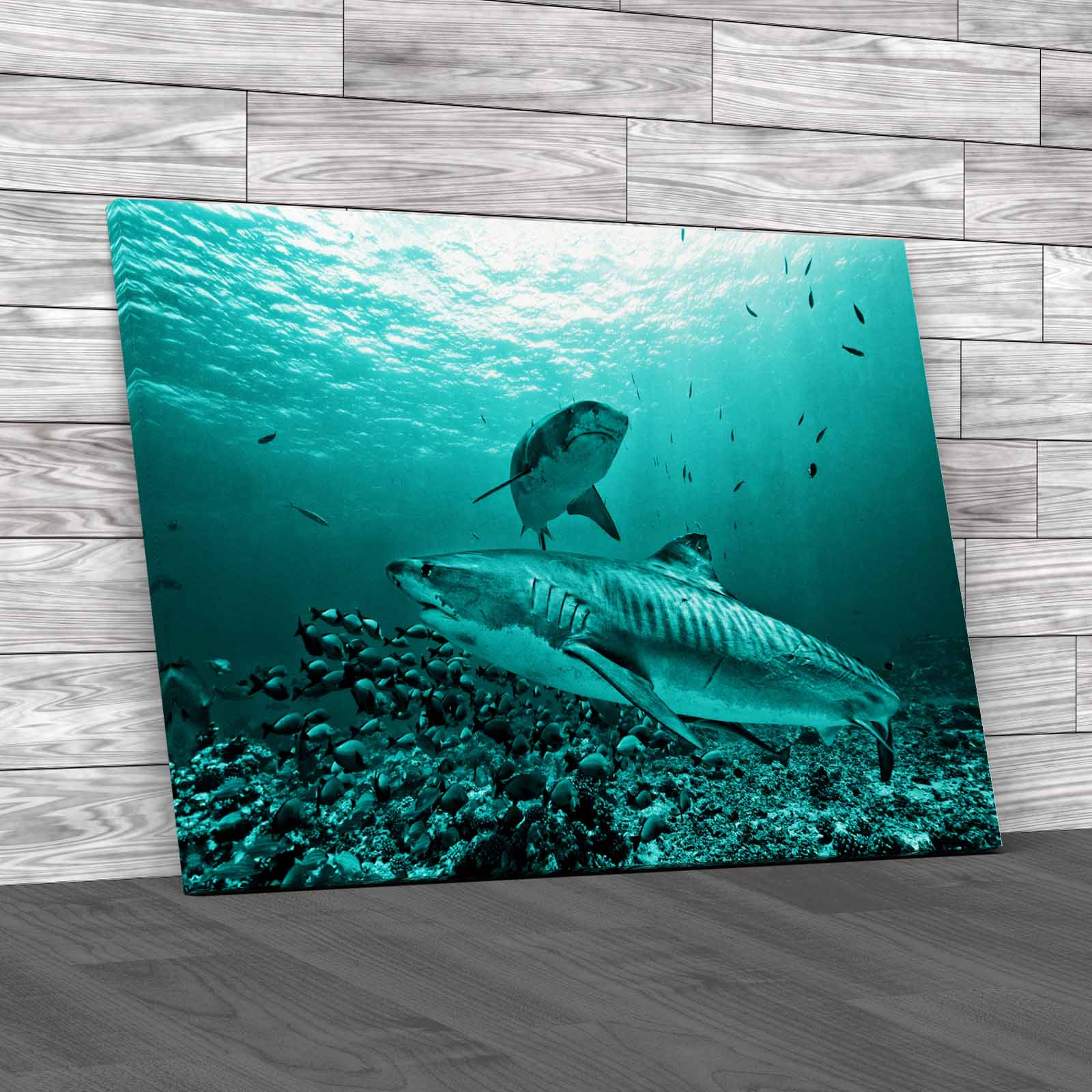 Tiger Shark Underwater Close Encounter Photography Canvas Print Large Picture
