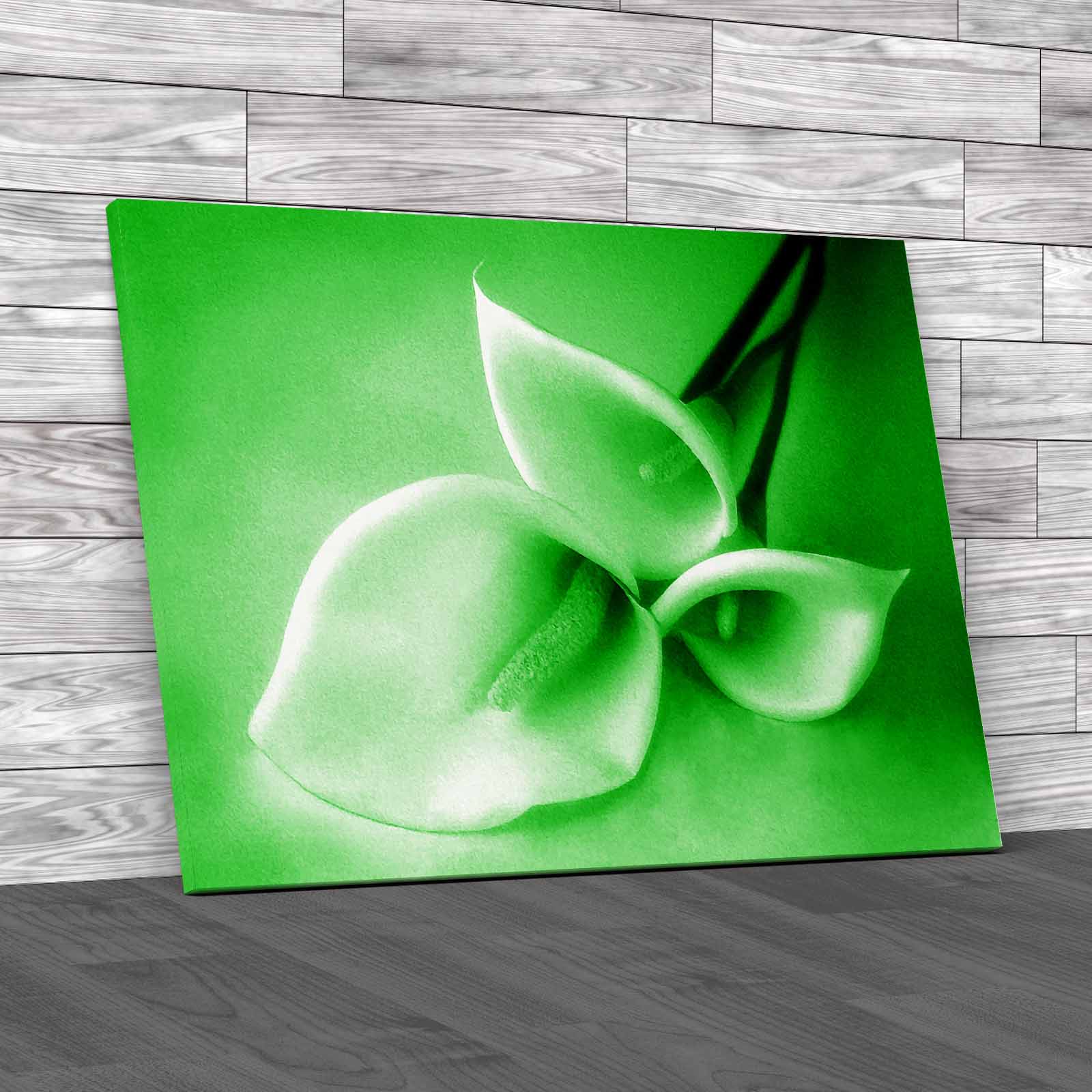 Exquisite Calla Lilies Stunning And Colorful Canvas Print Large Picture Wall Art