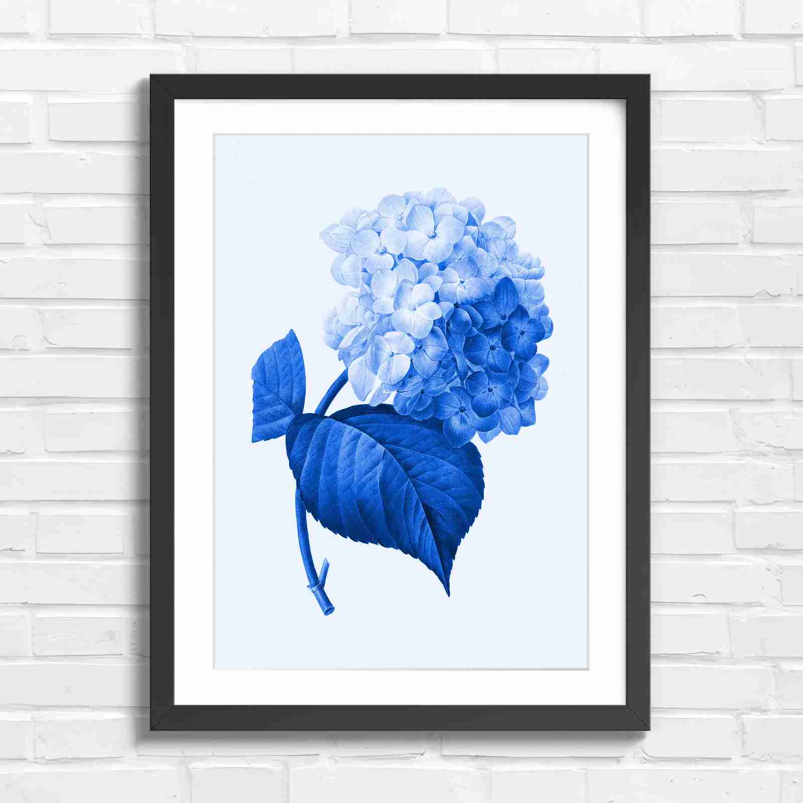 Botanical Hydrangea Floral Art Print - Blue in Black Frame