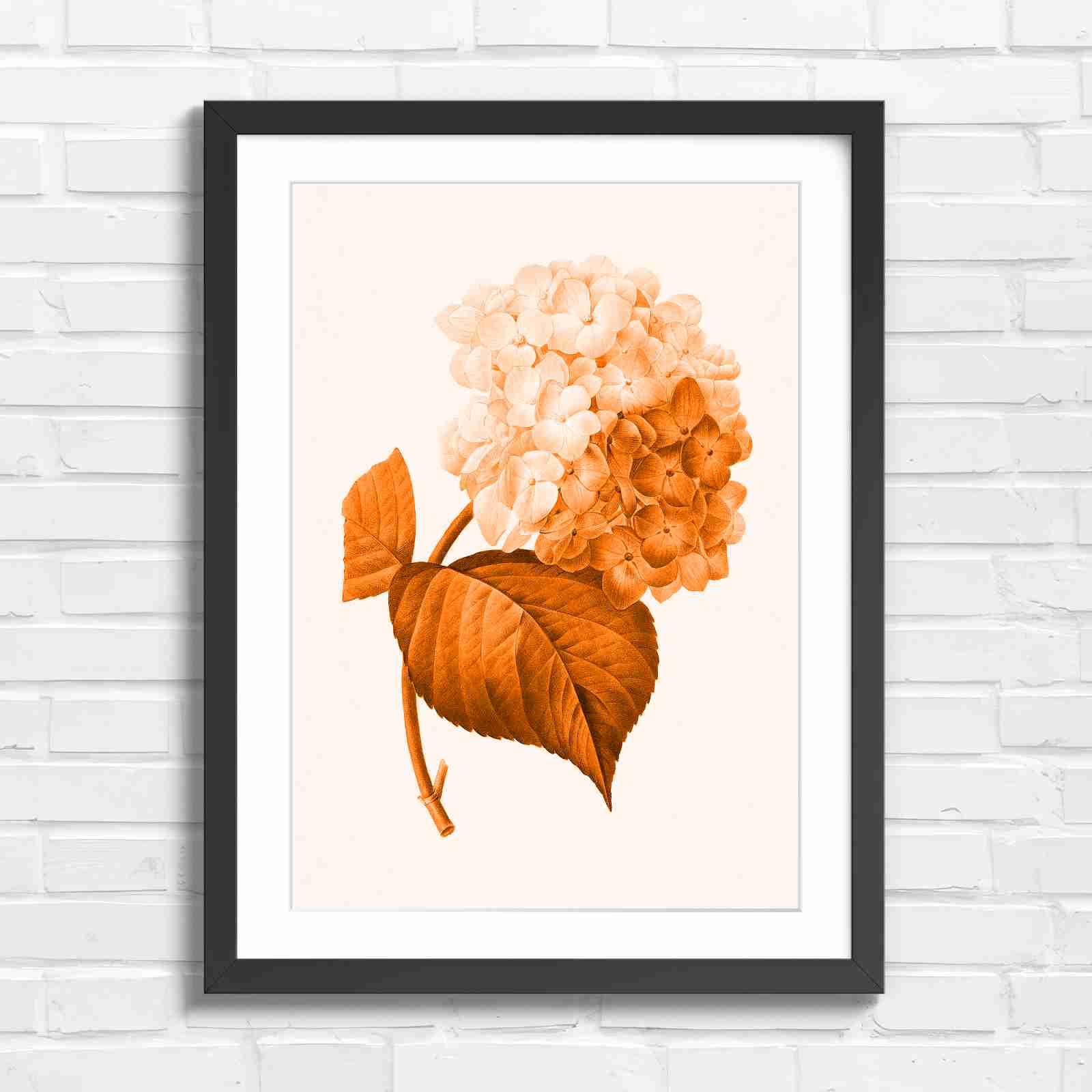 Botanical Hydrangea Floral Art Print - Orange in Black Frame