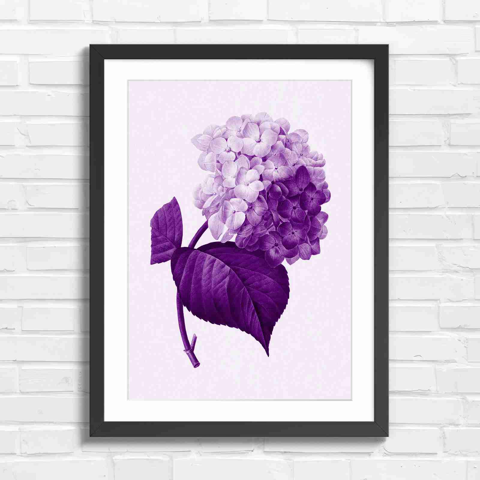 Botanical Hydrangea Floral Art Print - Purple in Black Frame