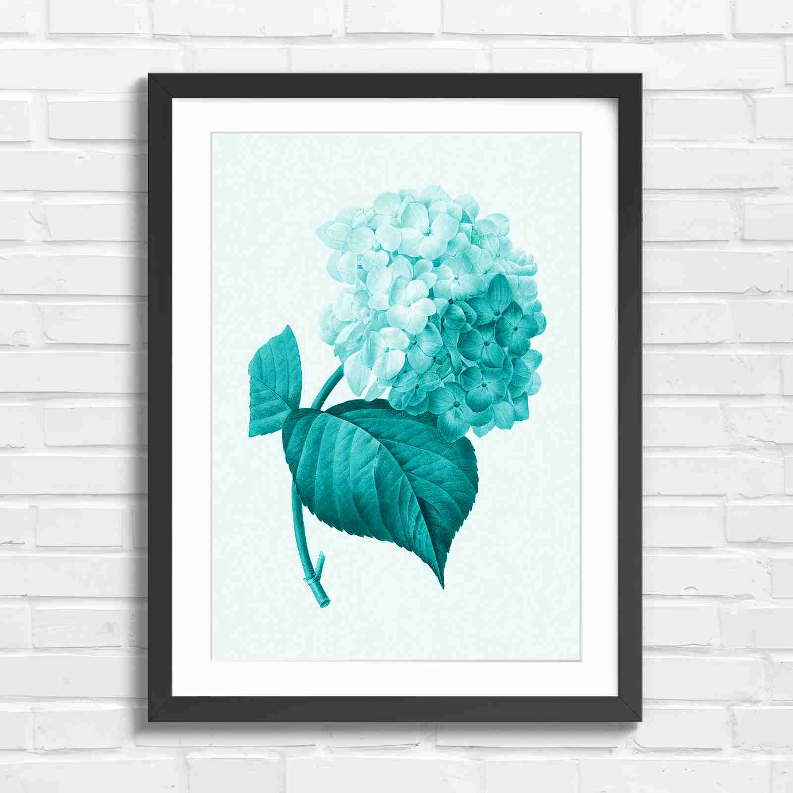 Botanical Hydrangea Floral Art Print - Teal in Black Frame