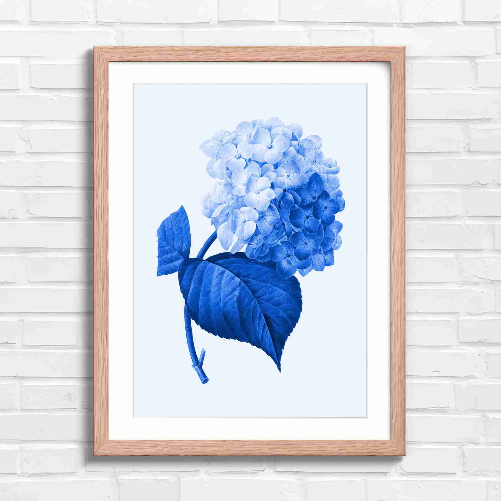 Botanical Hydrangea Floral Art Print - Blue in Oak Frame