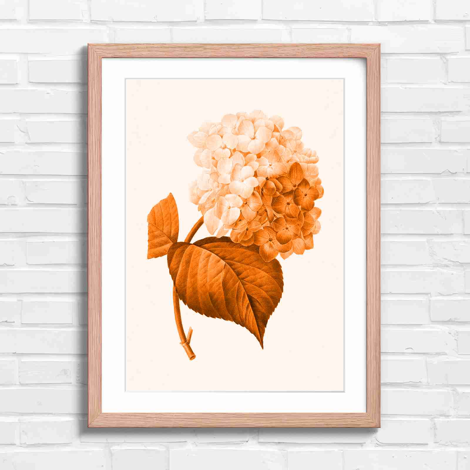 Botanical Hydrangea Floral Art Print - Orange in Oak Frame