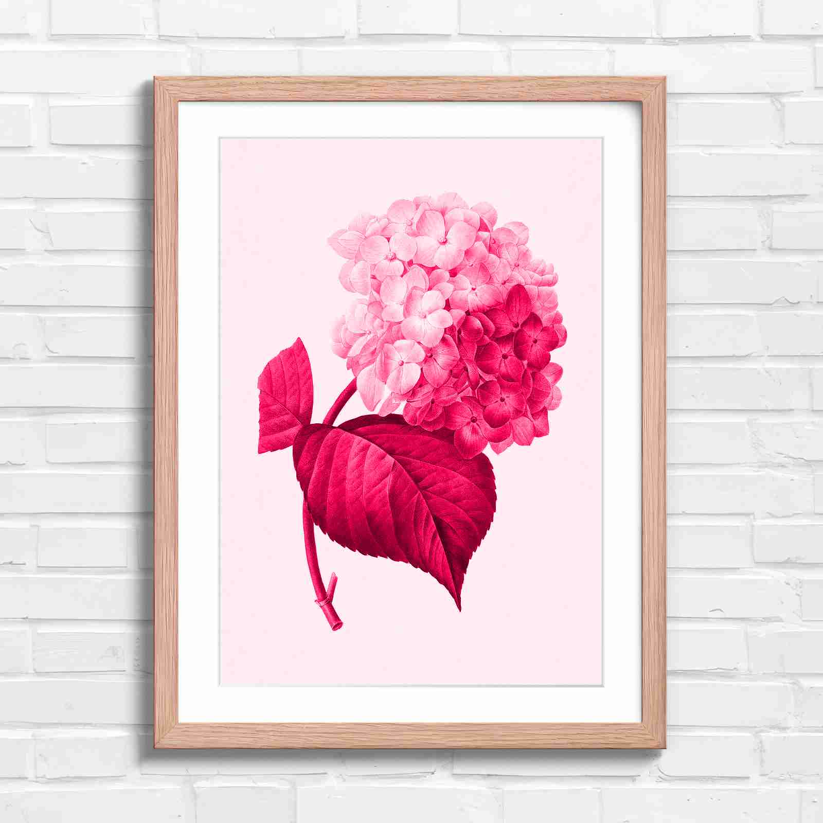 Botanical Hydrangea Floral Art Print - Pink in Oak Frame