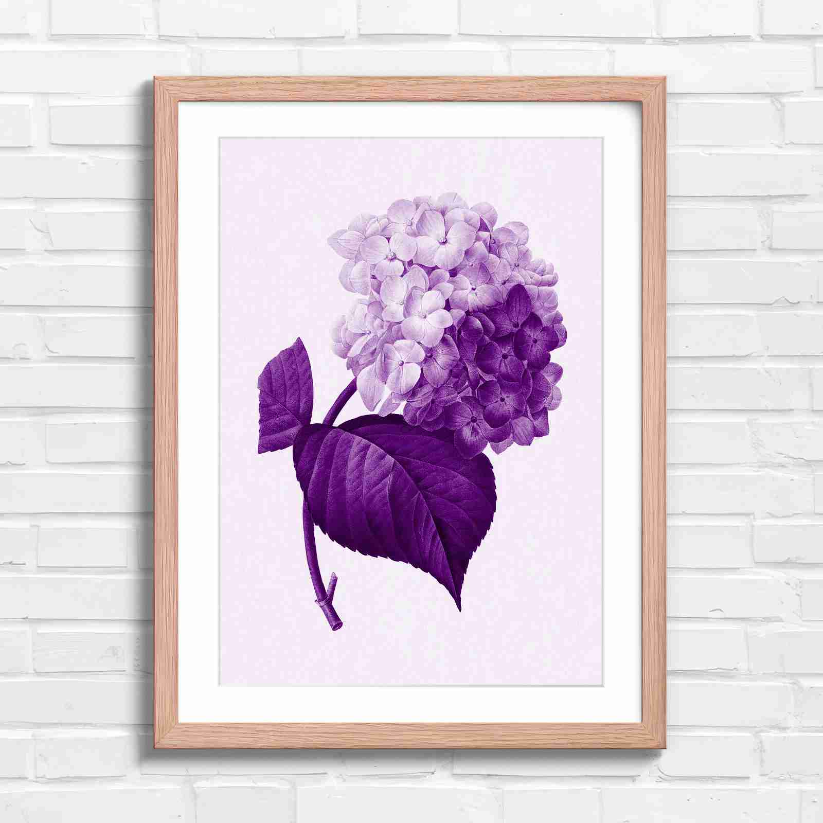 Botanical Hydrangea Floral Art Print - Purple in Oak Frame