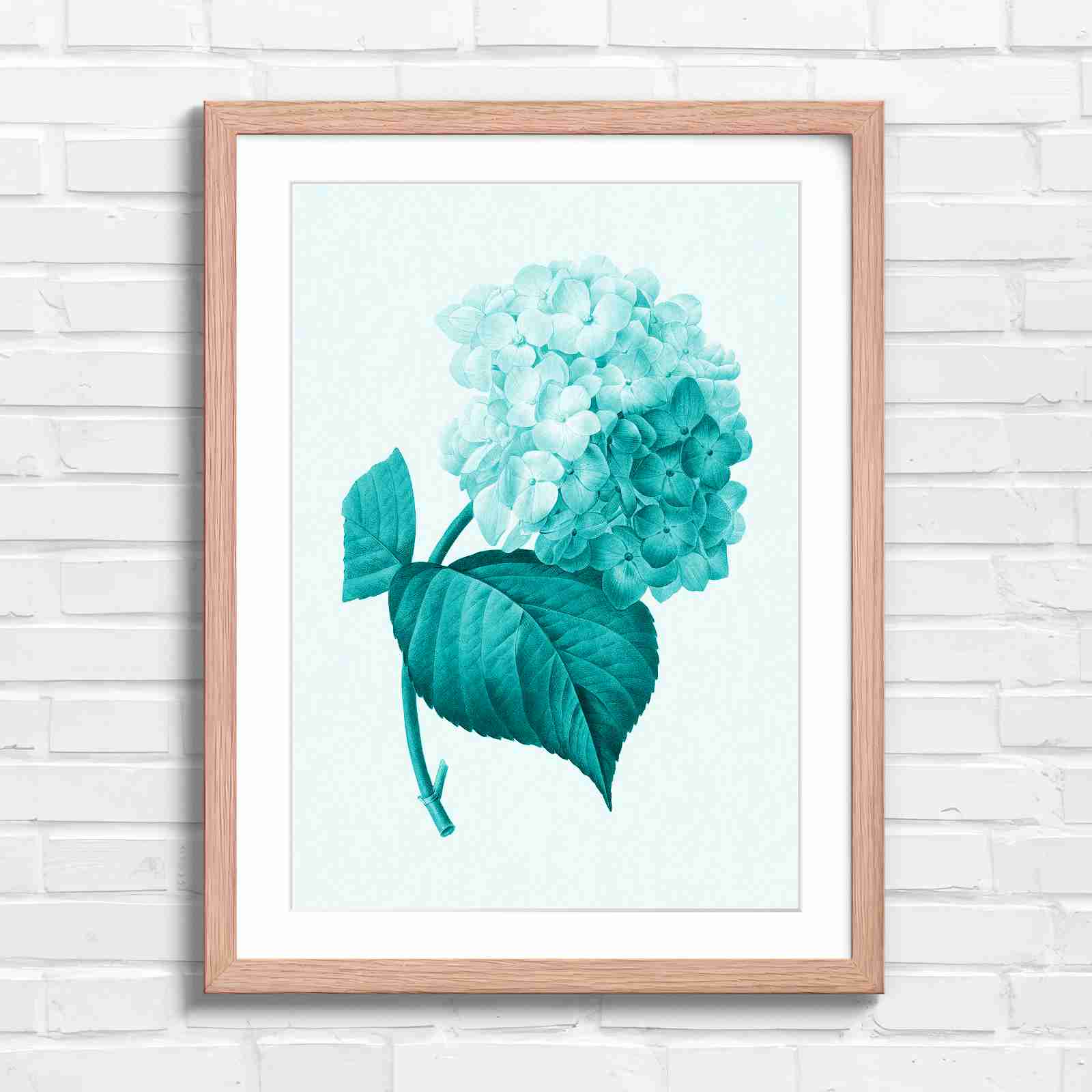 Botanical Hydrangea Floral Art Print - Teal in Oak Frame