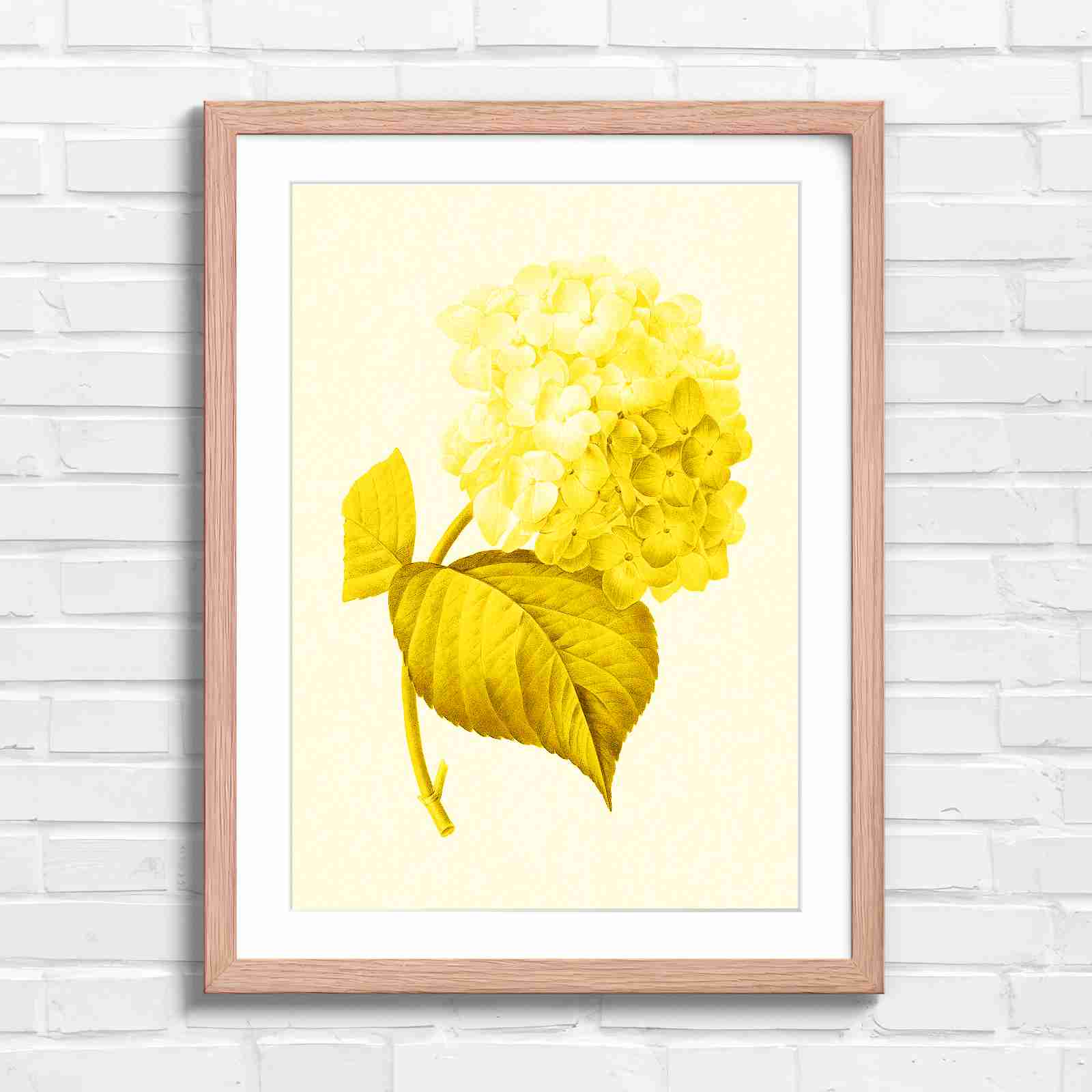 Botanical Hydrangea Floral Art Print - Yellow in Oak Frame