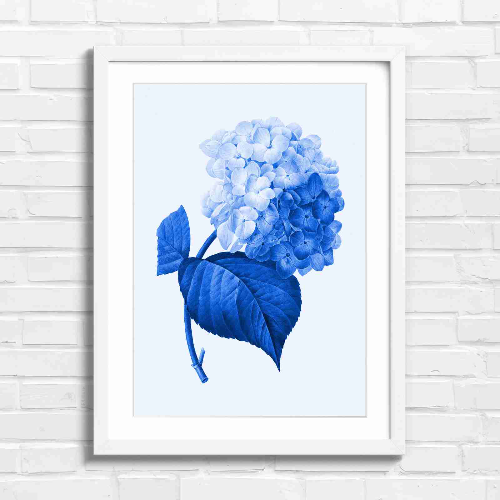 Botanical Hydrangea Floral Art Print - Blue in White Frame