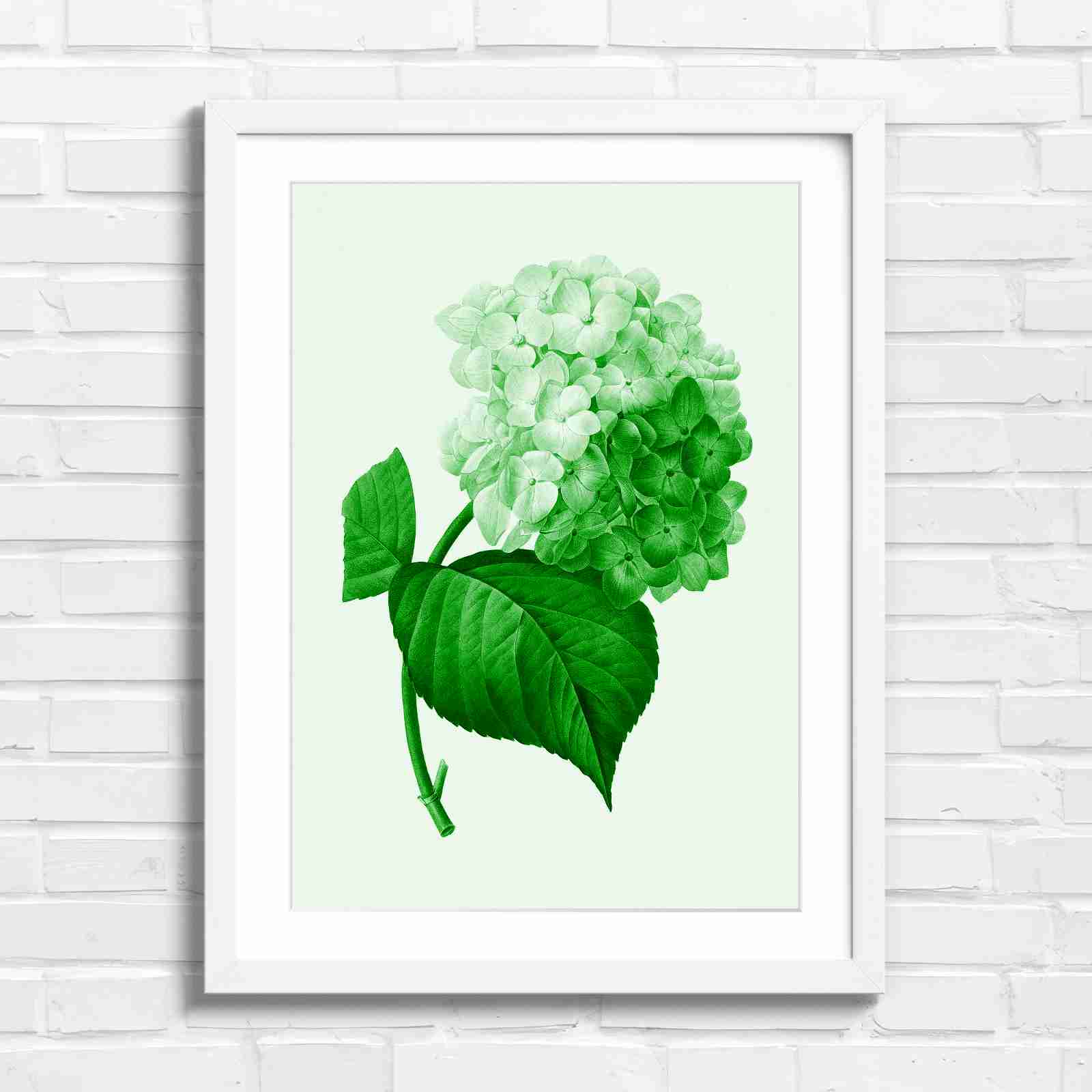 Botanical Hydrangea Floral Art Print - Green in White Frame