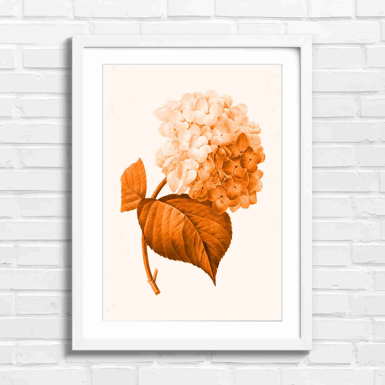 Botanical Hydrangea Floral Art Print - Orange in White Frame