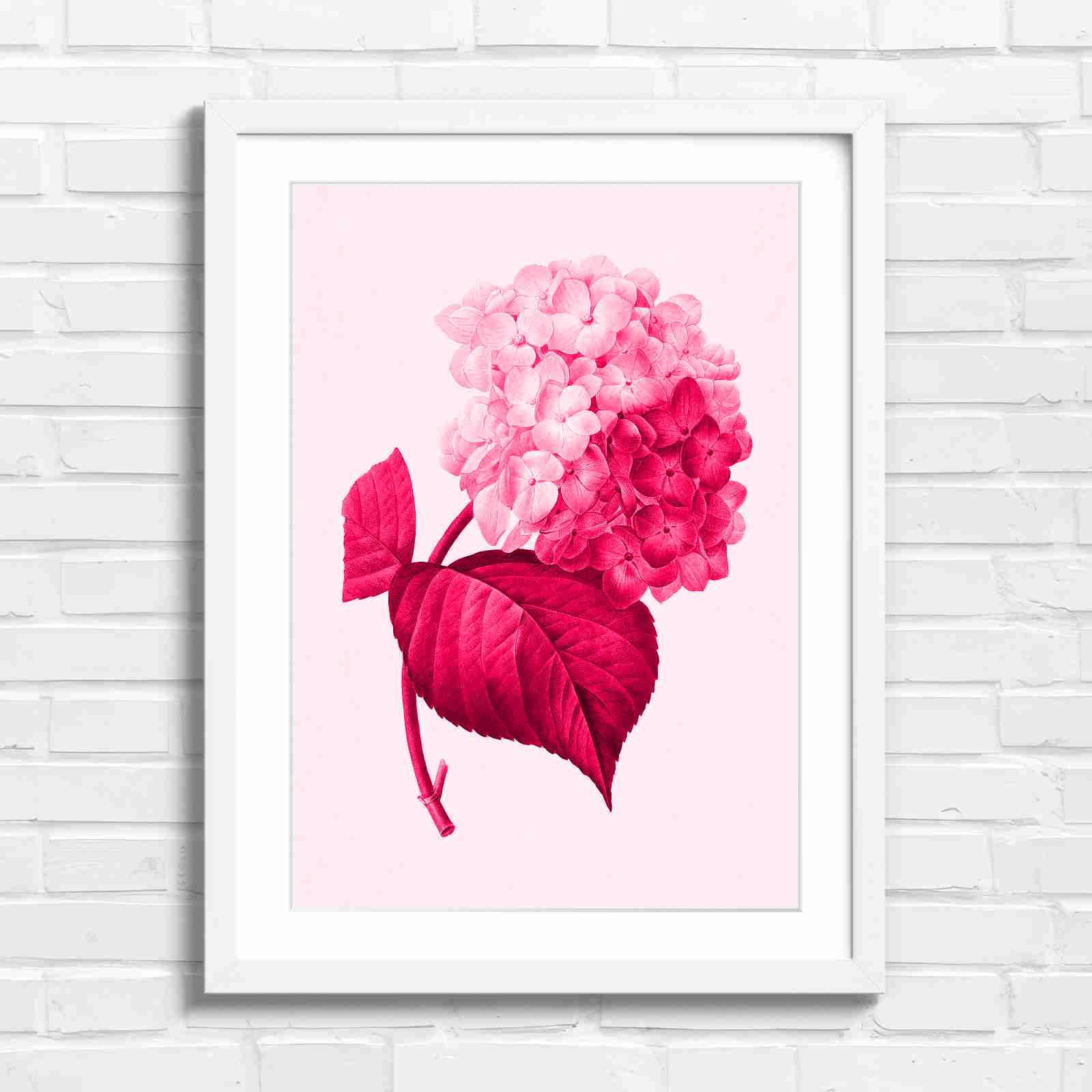 Botanical Hydrangea Floral Art Print - Pink in White Frame