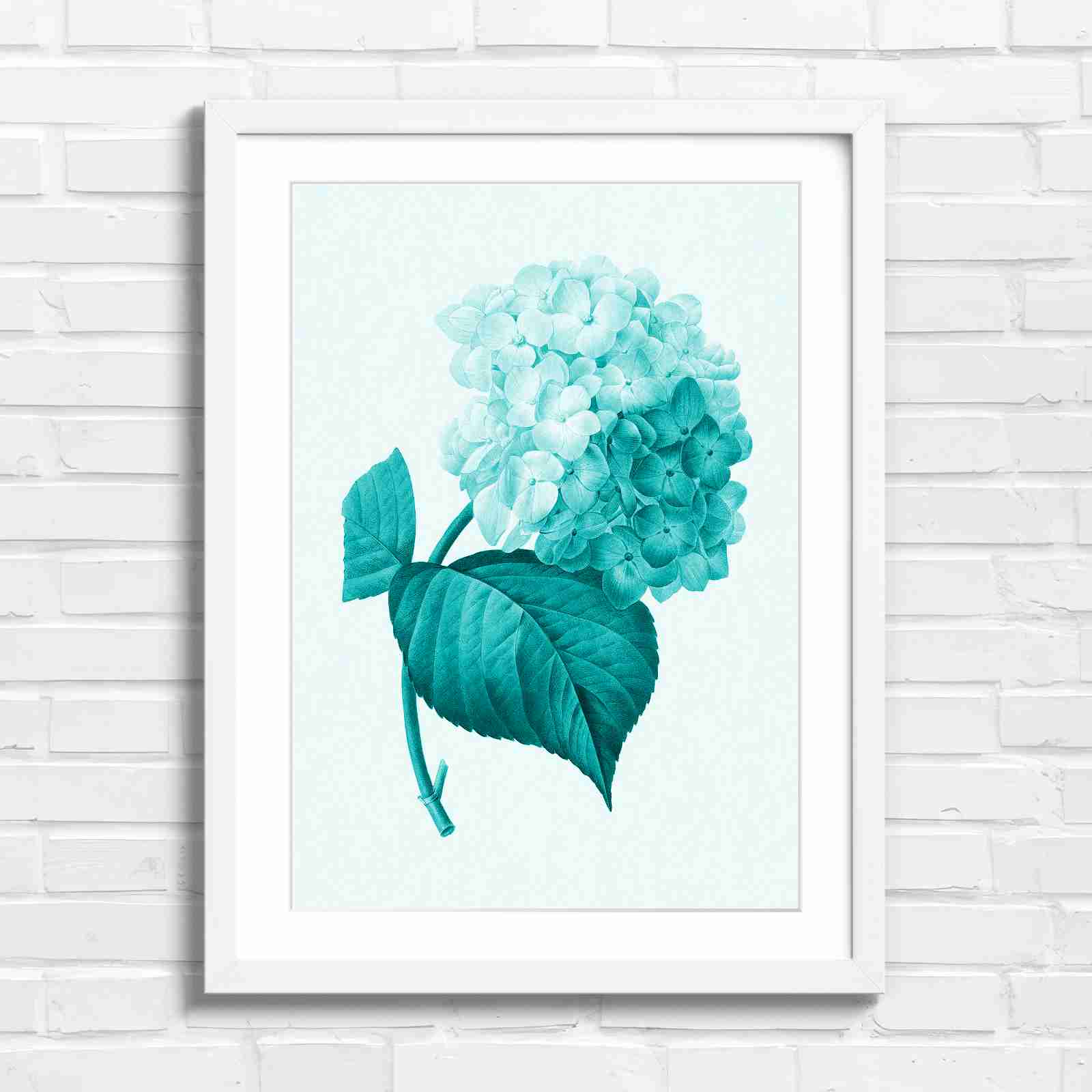 Botanical Hydrangea Floral Art Print - Teal in White Frame