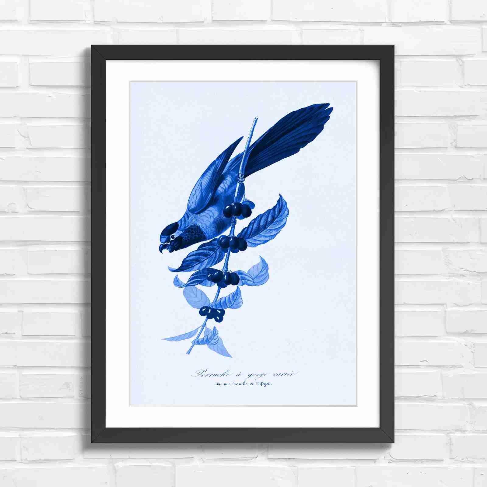 Vintage Parrot on Coffee Branch Art - Blue in Black Frame