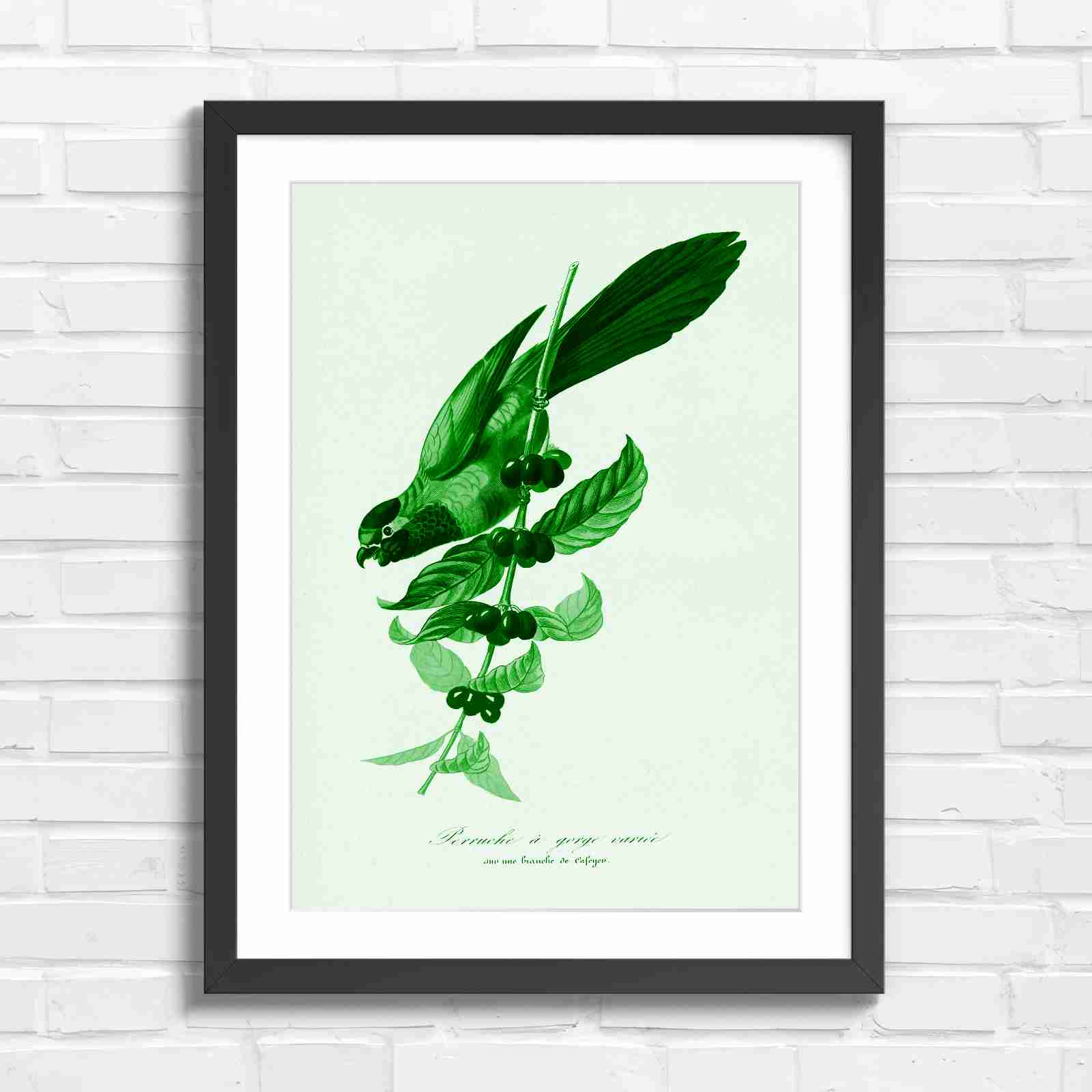 Vintage Parrot on Coffee Branch Art - Green in Black Frame