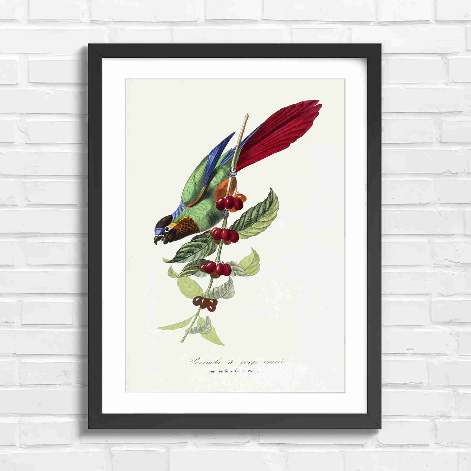 Vintage Parrot on Coffee Branch Art - Original in Black Frame