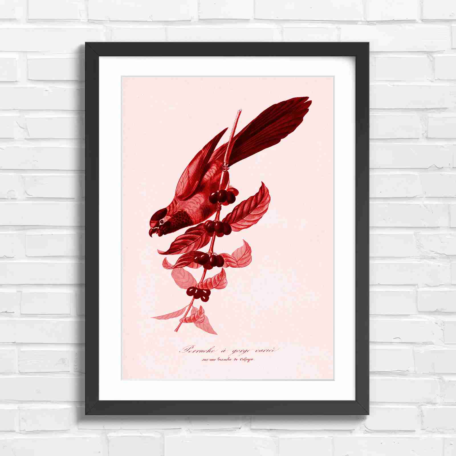 Vintage Parrot on Coffee Branch Art - Red in Black Frame