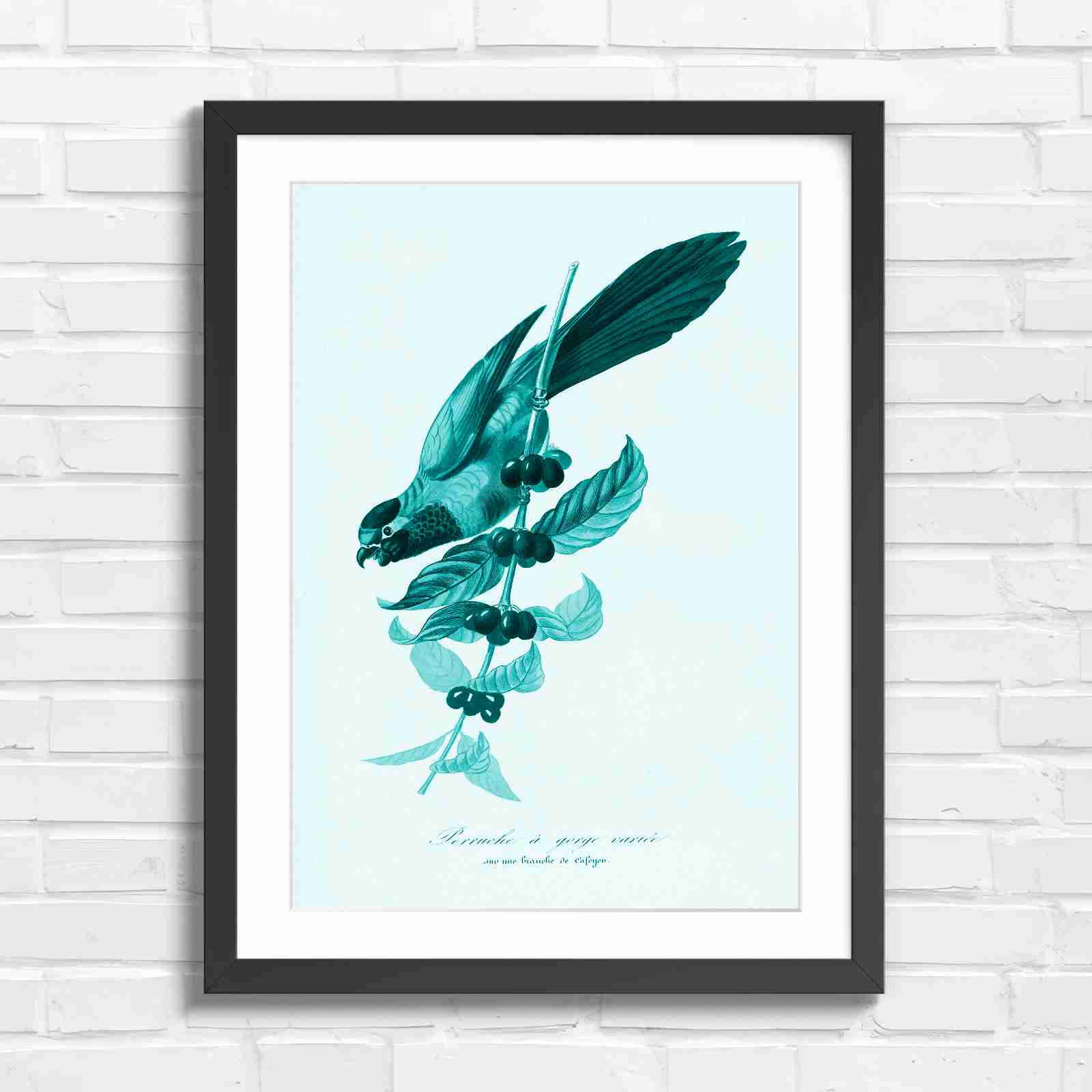 Vintage Parrot on Coffee Branch Art - Teal in Black Frame