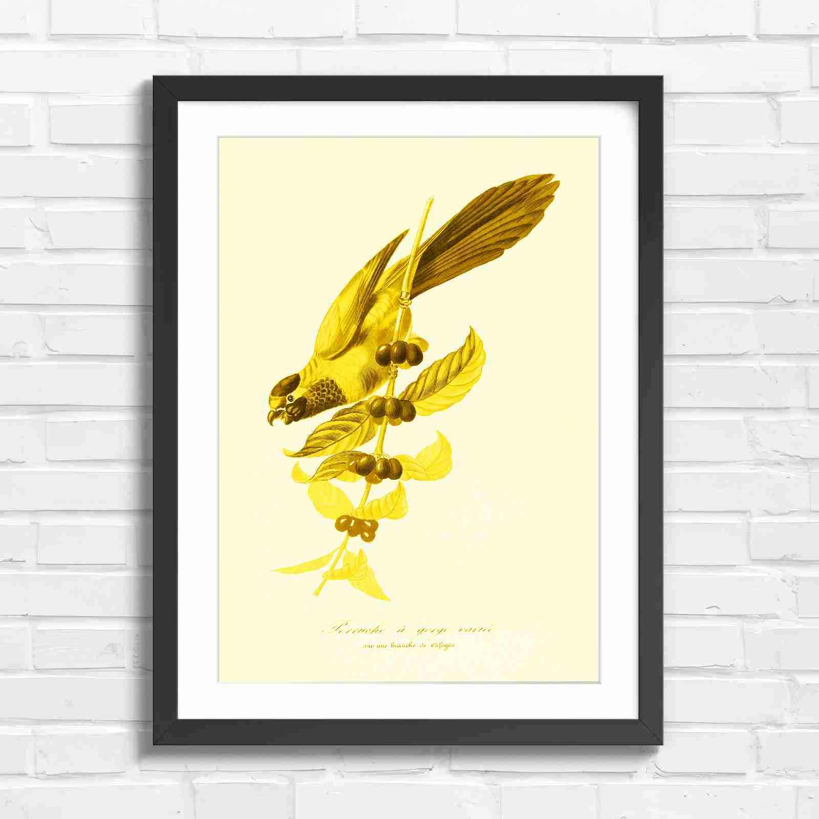 Vintage Parrot on Coffee Branch Art - Yellow in Black Frame