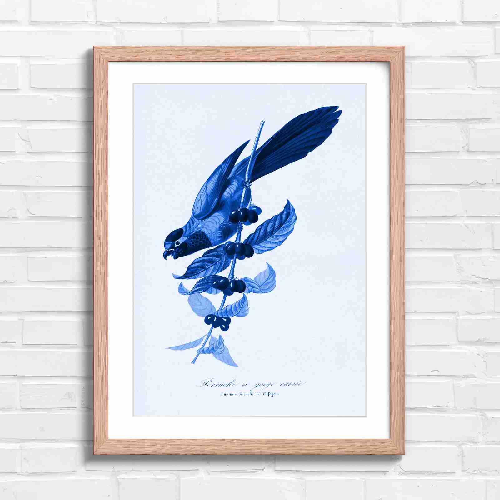 Vintage Parrot on Coffee Branch Art - Blue in Oak Frame