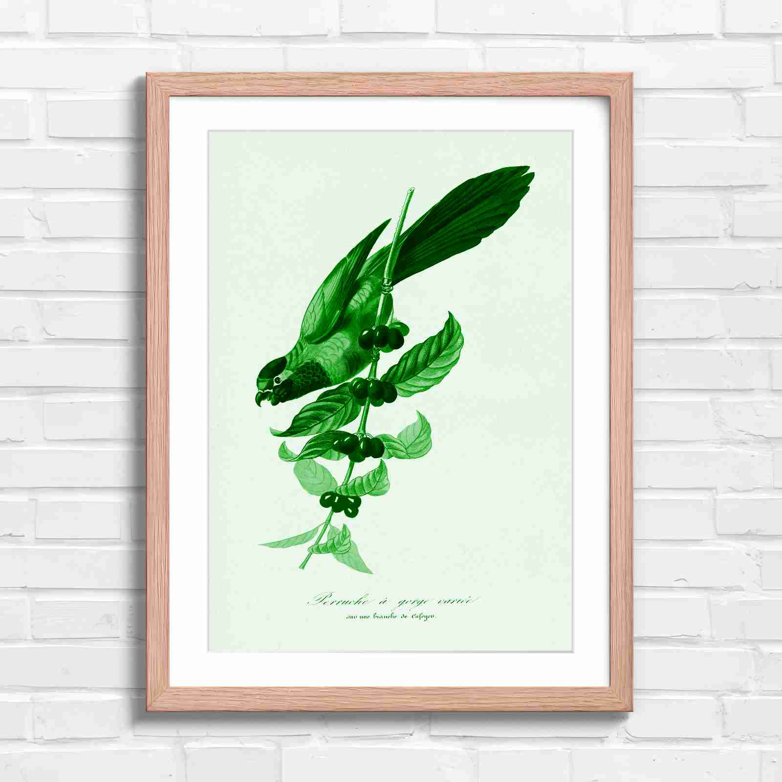 Vintage Parrot on Coffee Branch Art - Green in Oak Frame