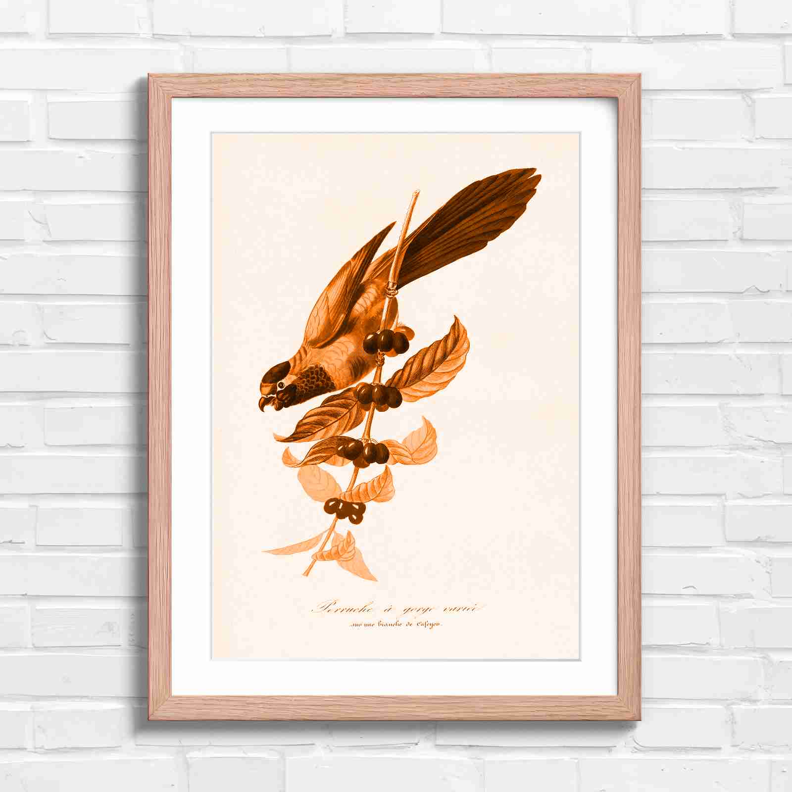 Vintage Parrot on Coffee Branch Art - Orange in Oak Frame
