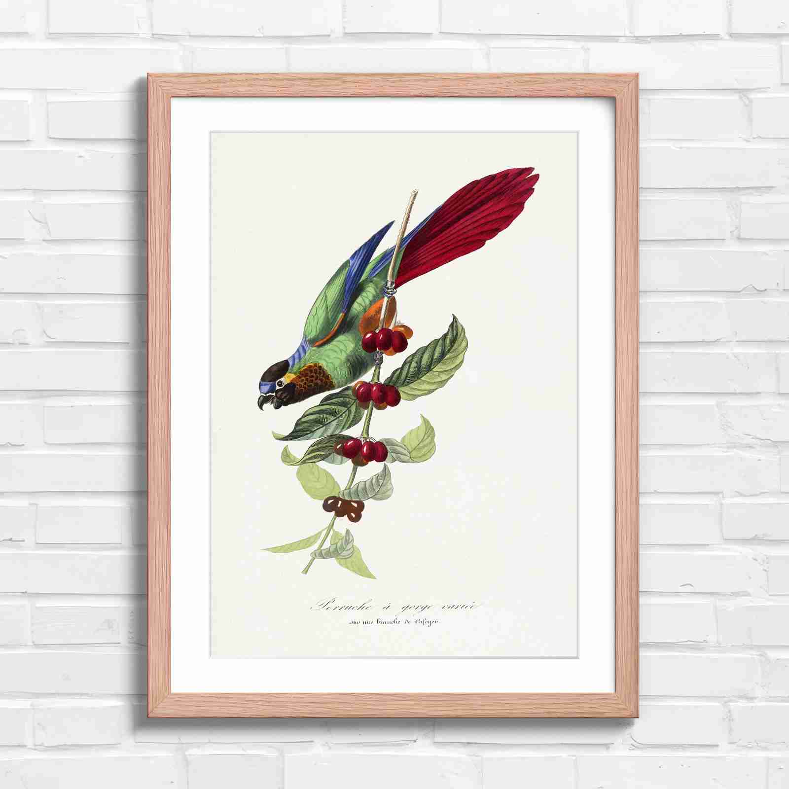 Vintage Parrot on Coffee Branch Art - Original in Oak Frame