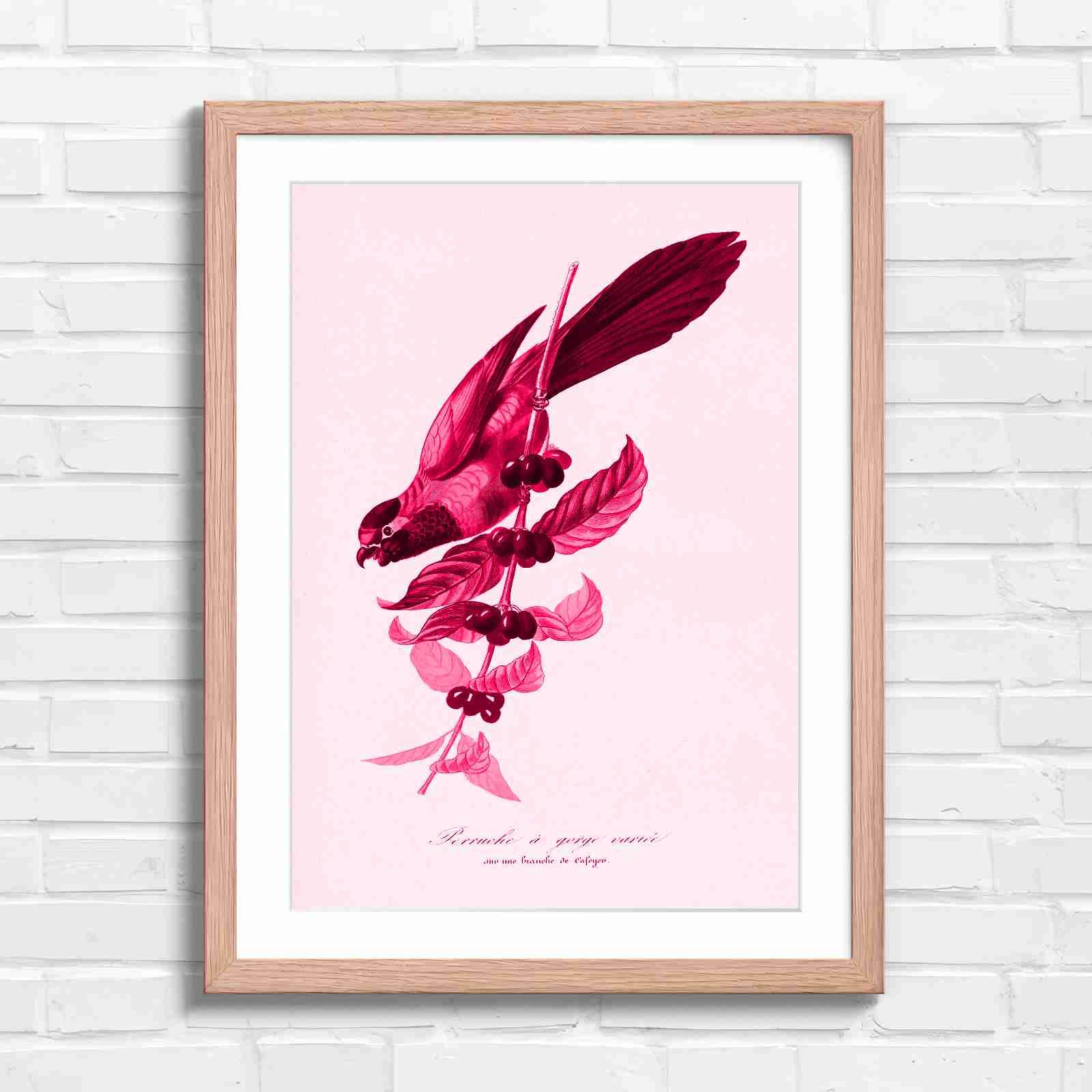 Vintage Parrot on Coffee Branch Art - Pink in Oak Frame