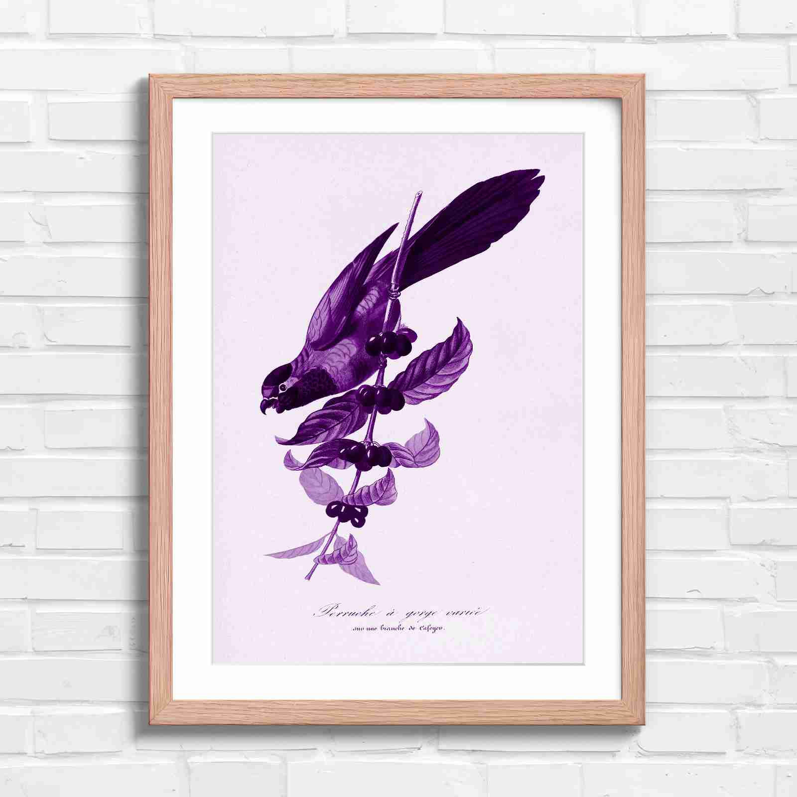 Vintage Parrot on Coffee Branch Art - Purple in Oak Frame