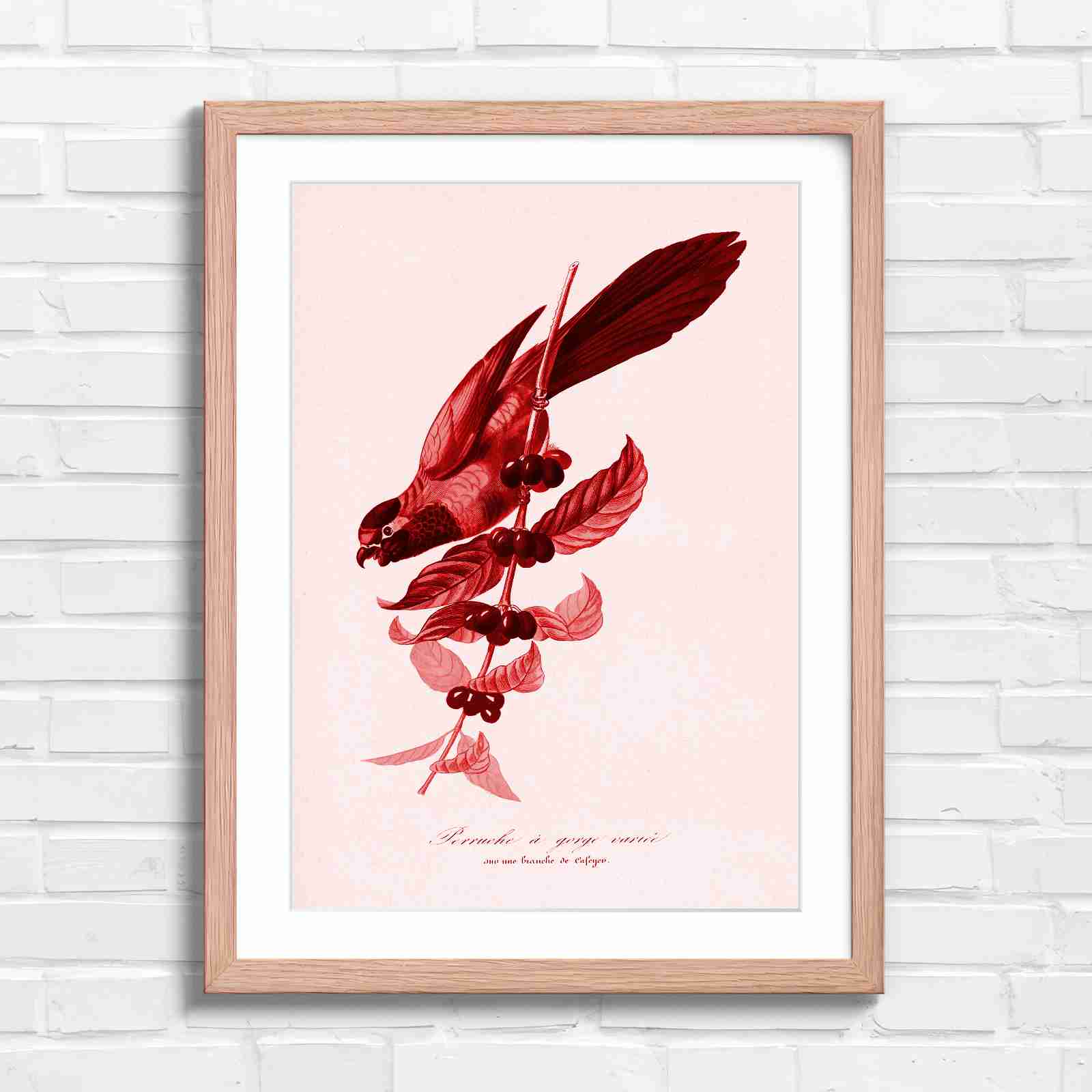 Vintage Parrot on Coffee Branch Art - Red in Oak Frame