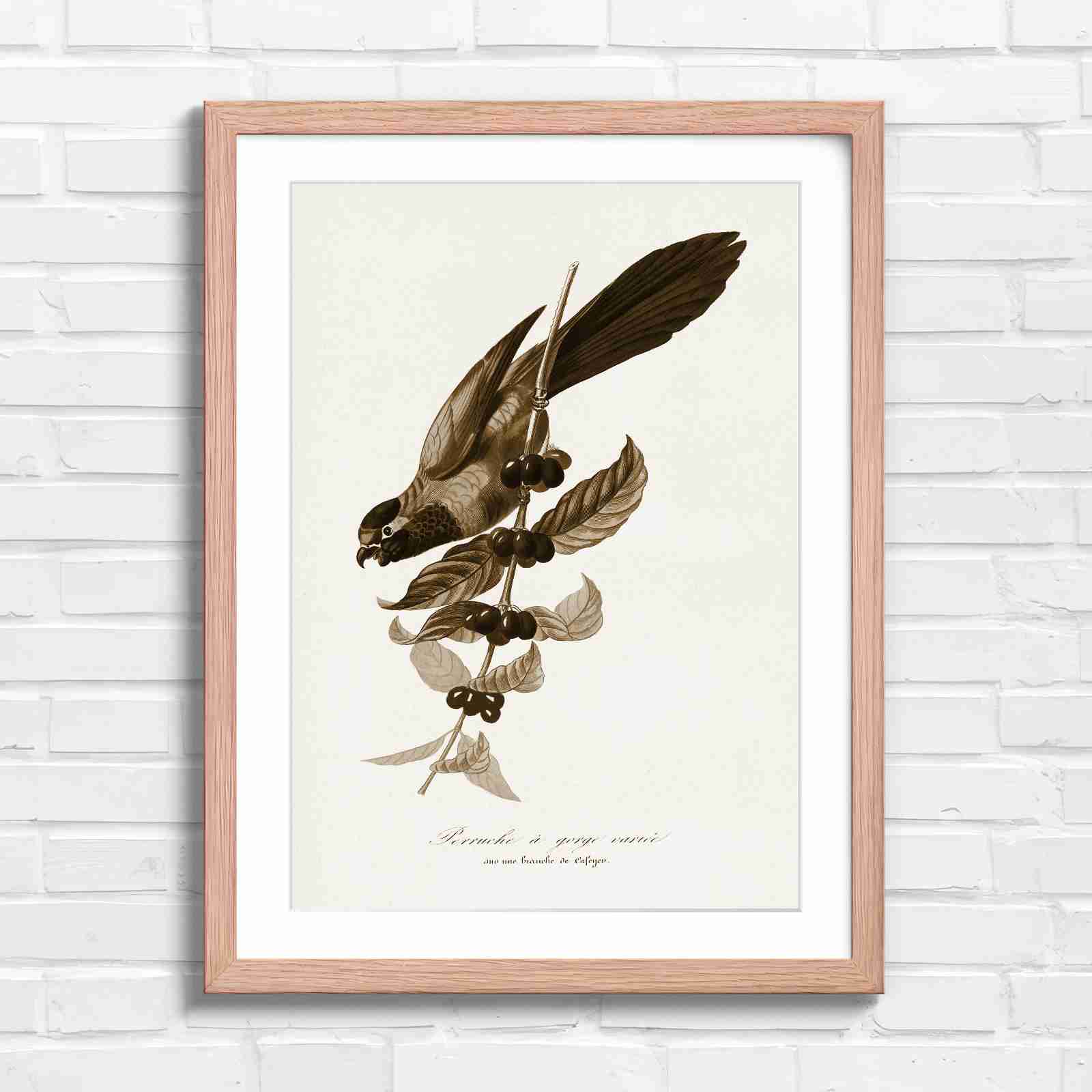 Vintage Parrot on Coffee Branch Art - Sepia in Oak Frame