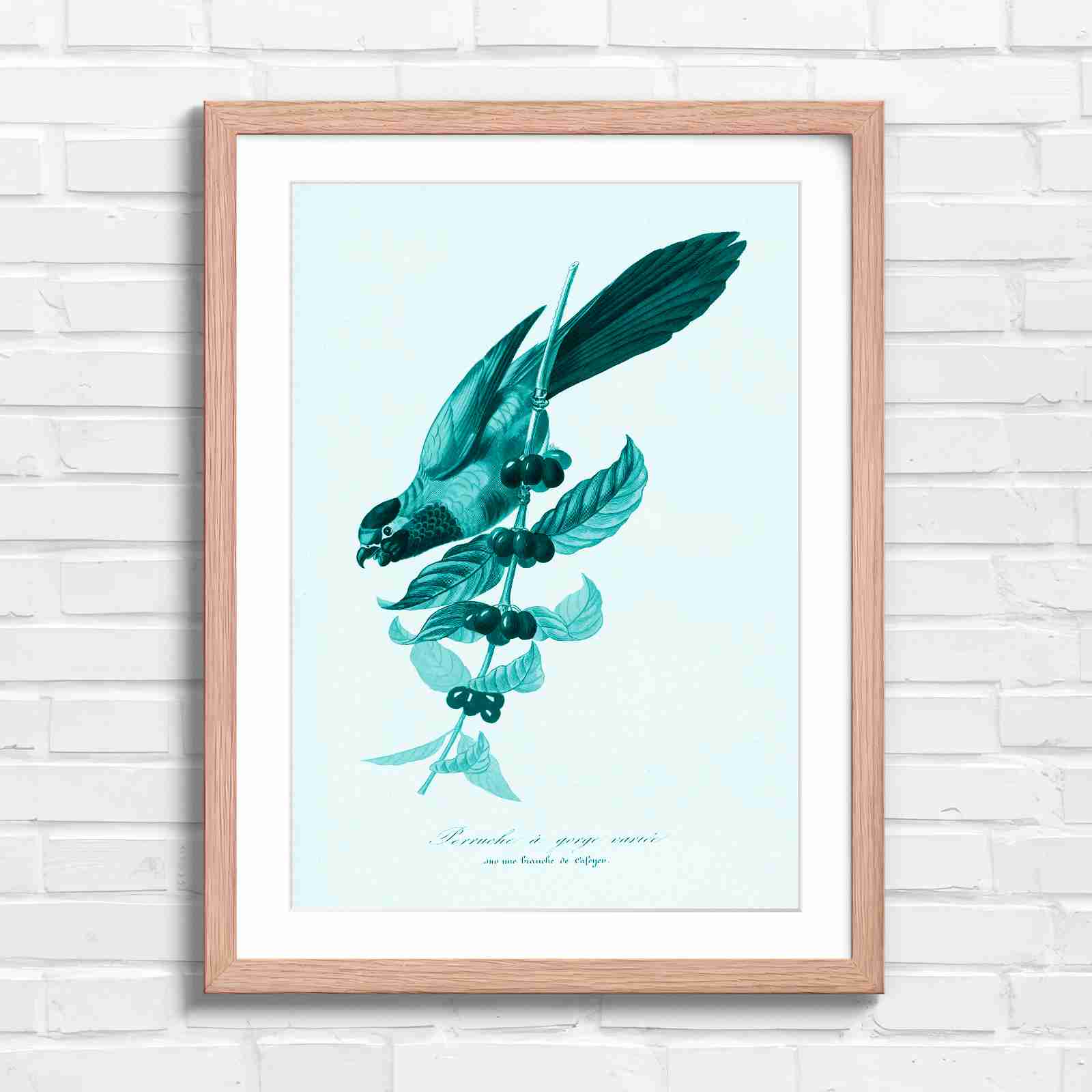 Vintage Parrot on Coffee Branch Art - Teal in Oak Frame