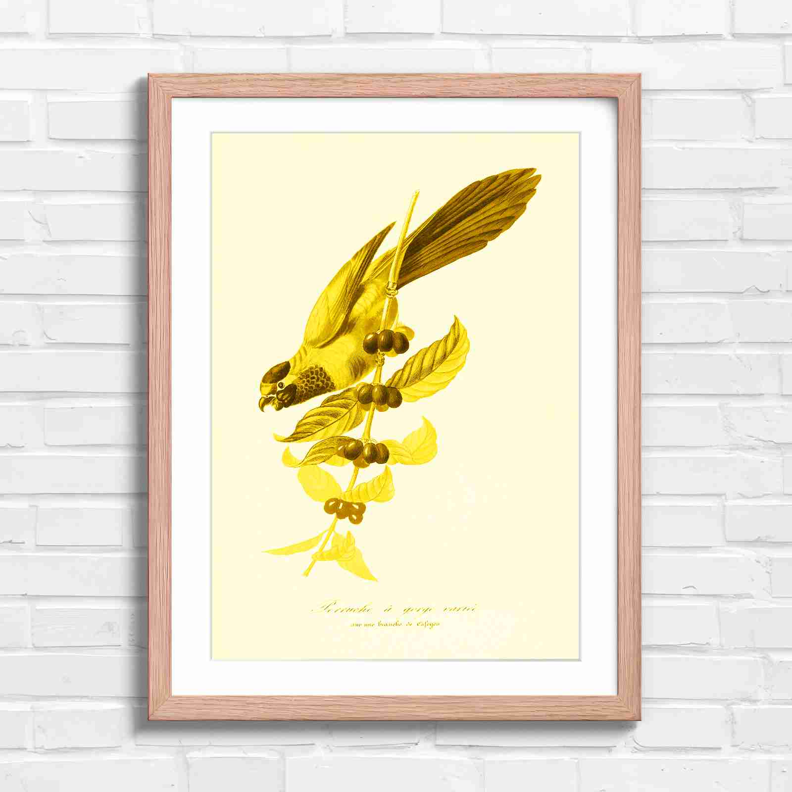 Vintage Parrot on Coffee Branch Art - Yellow in Oak Frame
