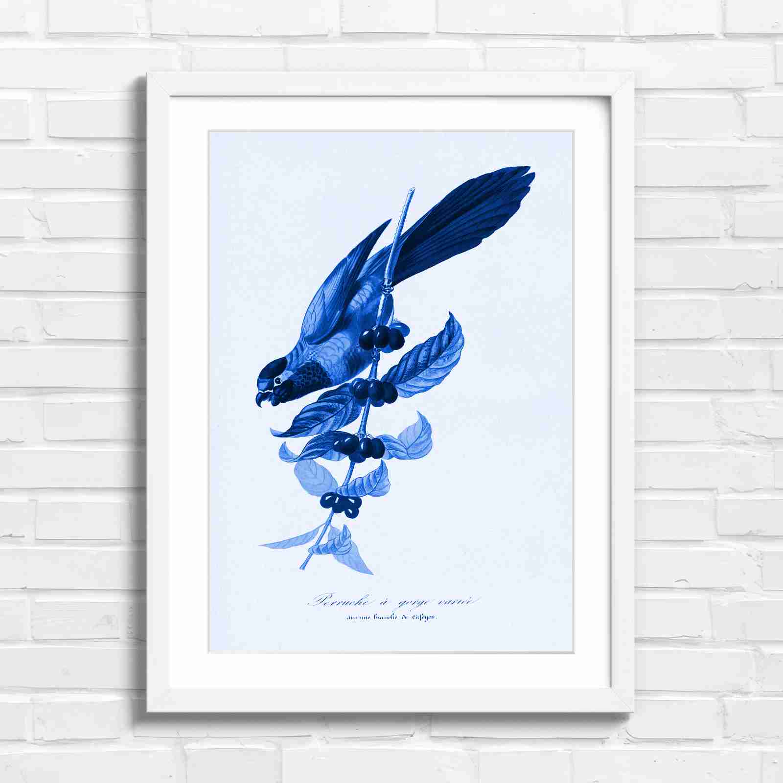 Vintage Parrot on Coffee Branch Art - Blue in White Frame