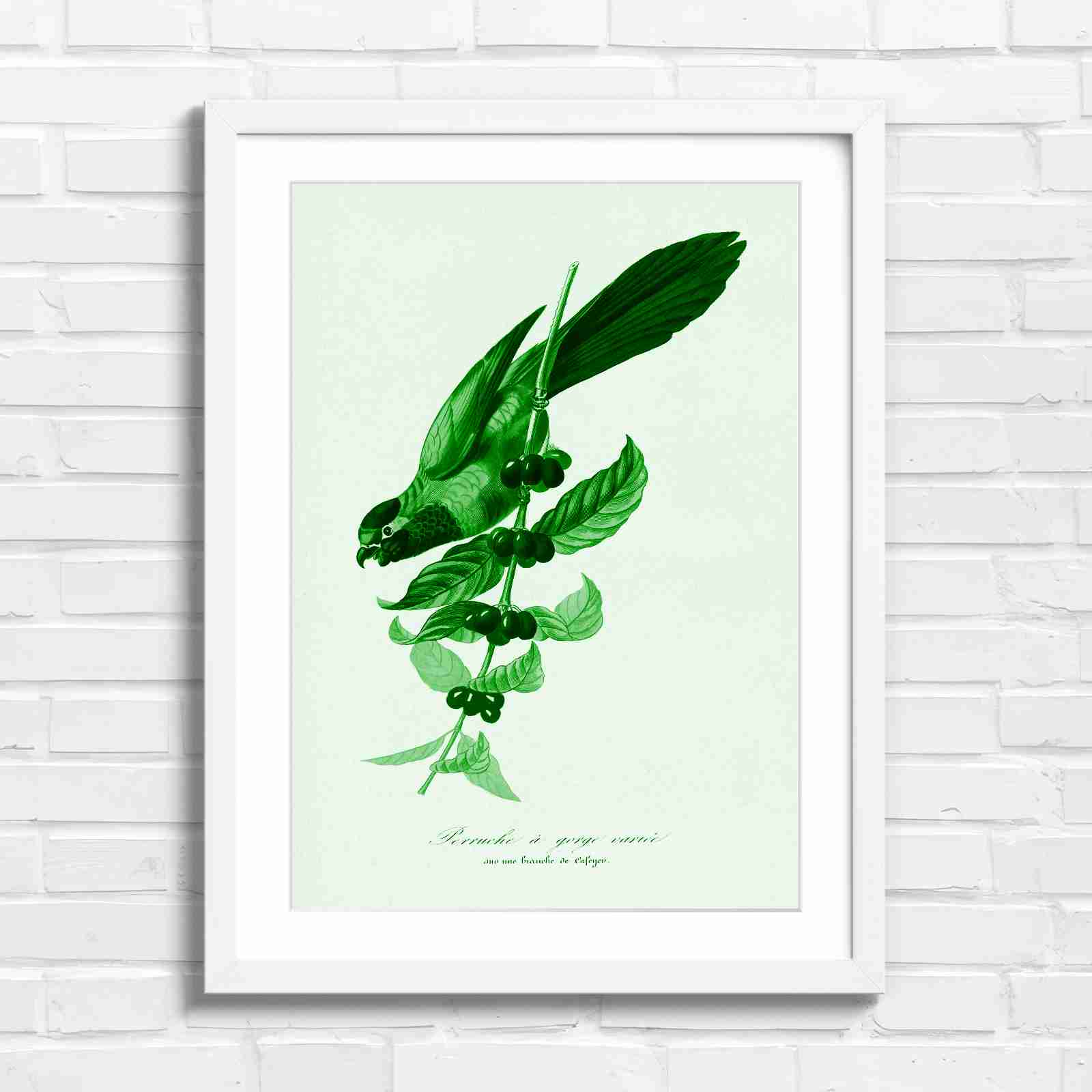 Vintage Parrot on Coffee Branch Art - Green in White Frame