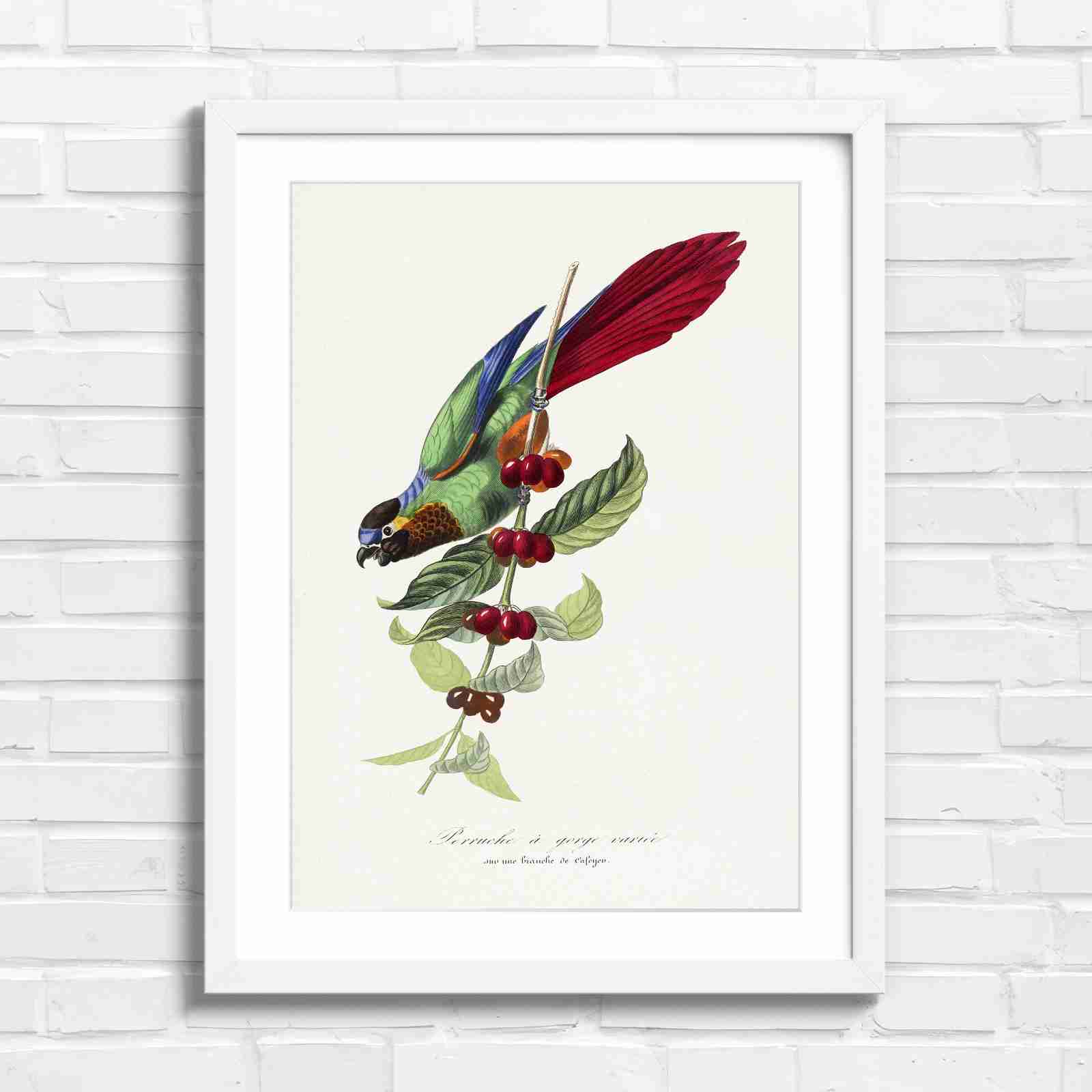 Vintage Parrot on Coffee Branch Art - Original in White Frame
