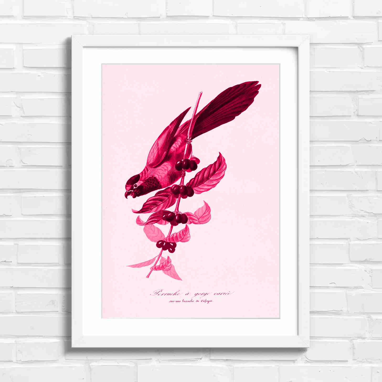 Vintage Parrot on Coffee Branch Art - Pink in White Frame
