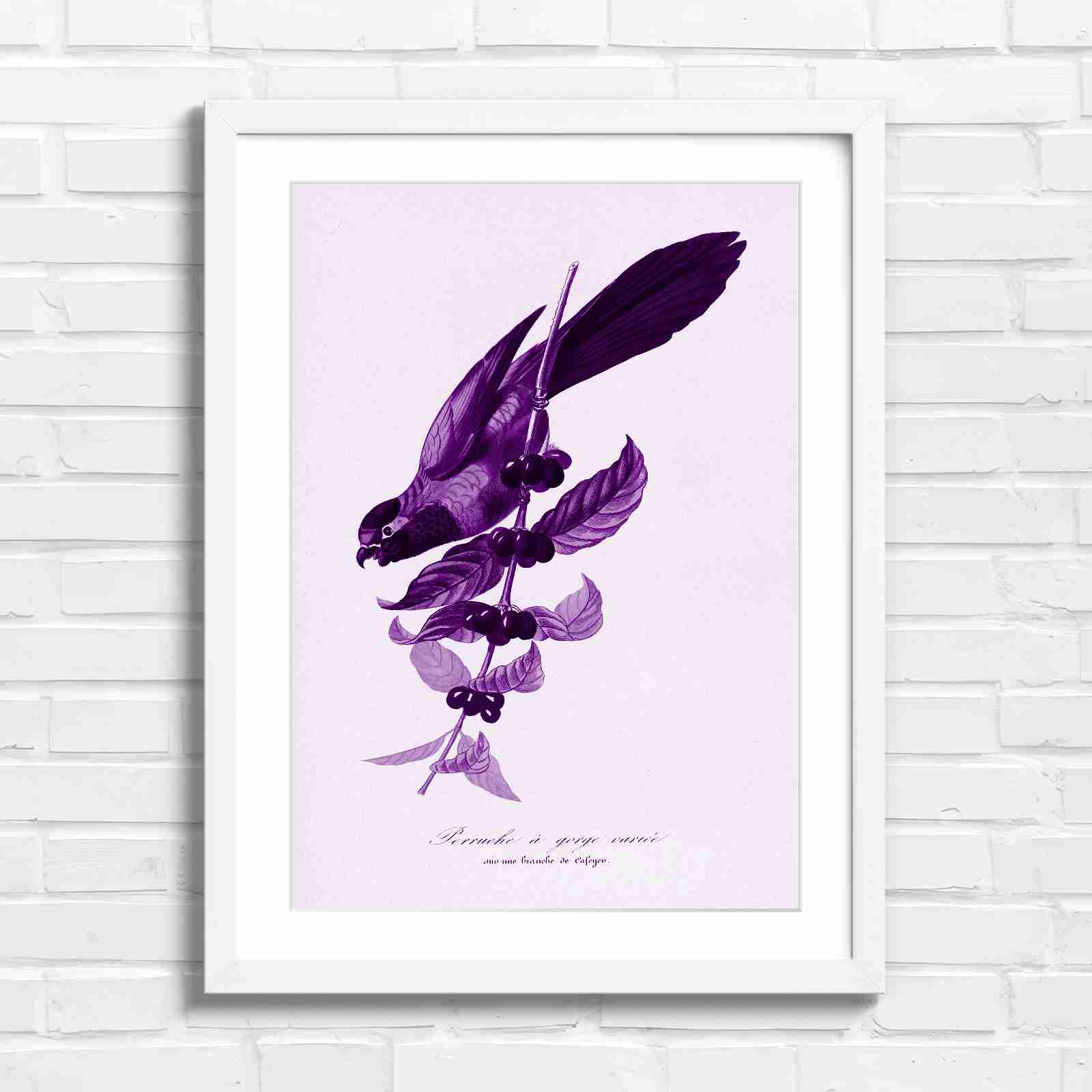 Vintage Parrot on Coffee Branch Art - Purple in White Frame