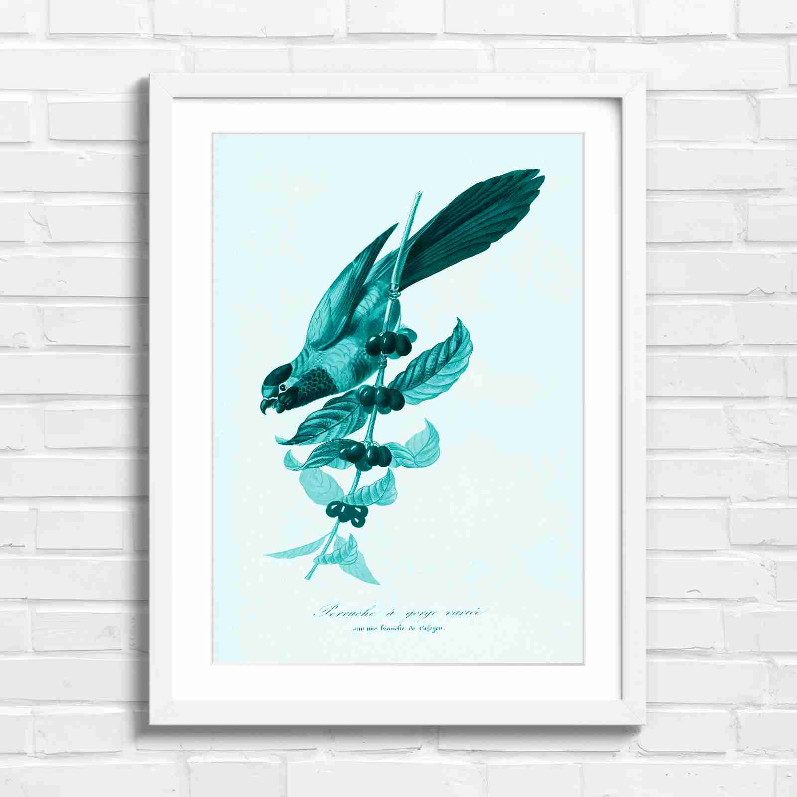 Vintage Parrot on Coffee Branch Art - Teal in White Frame