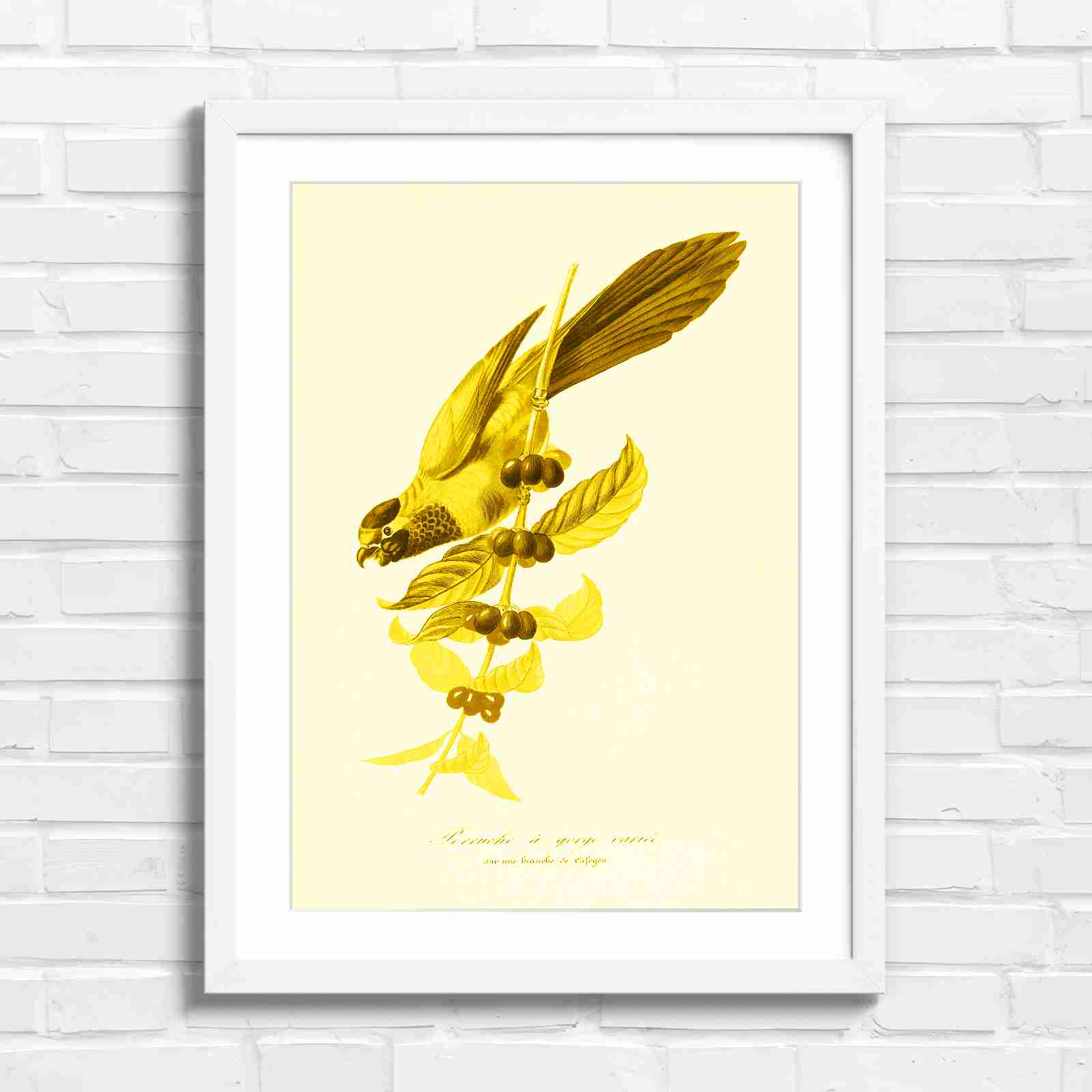 Vintage Parrot on Coffee Branch Art - Yellow in White Frame
