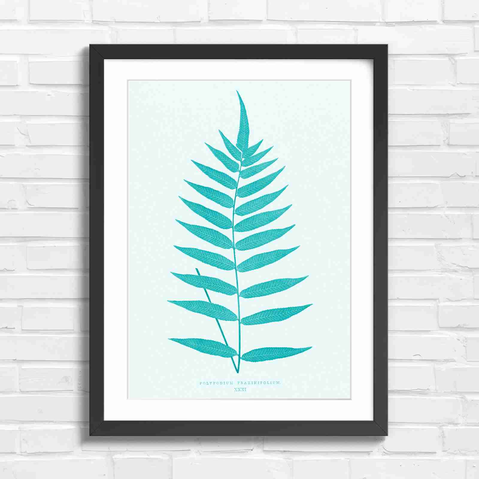 Polypodium Fraxinifolium Fern Leaf Botanical - Teal in Black Frame