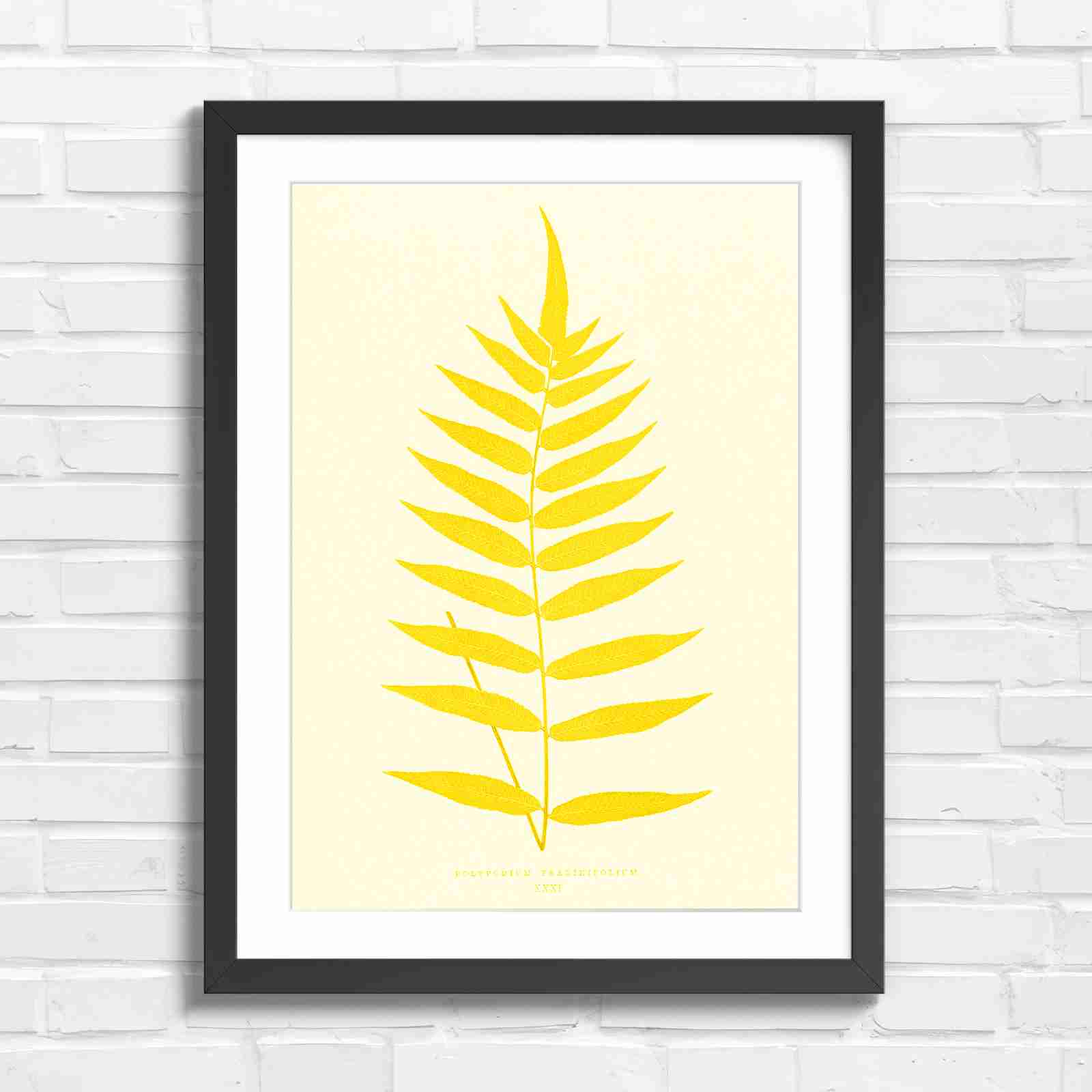 Polypodium Fraxinifolium Fern Leaf Botanical - Yellow in Black Frame