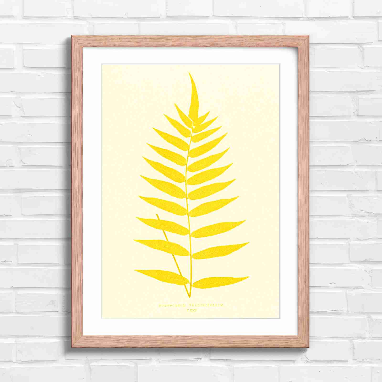 Polypodium Fraxinifolium Fern Leaf Botanical - Yellow in Oak Frame