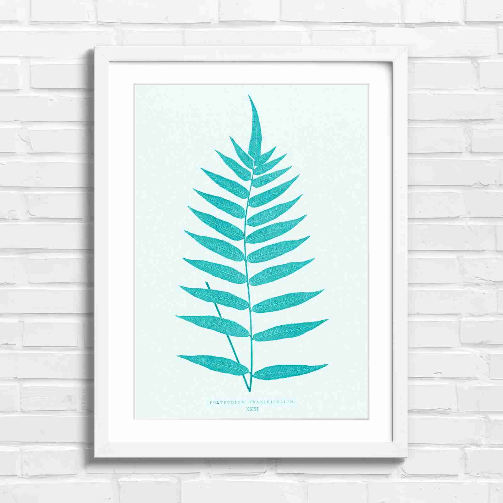 Polypodium Fraxinifolium Fern Leaf Botanical - Teal in White Frame