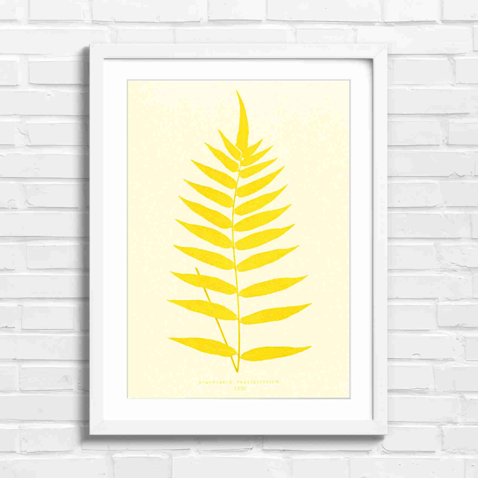 Polypodium Fraxinifolium Fern Leaf Botanical - Yellow in White Frame