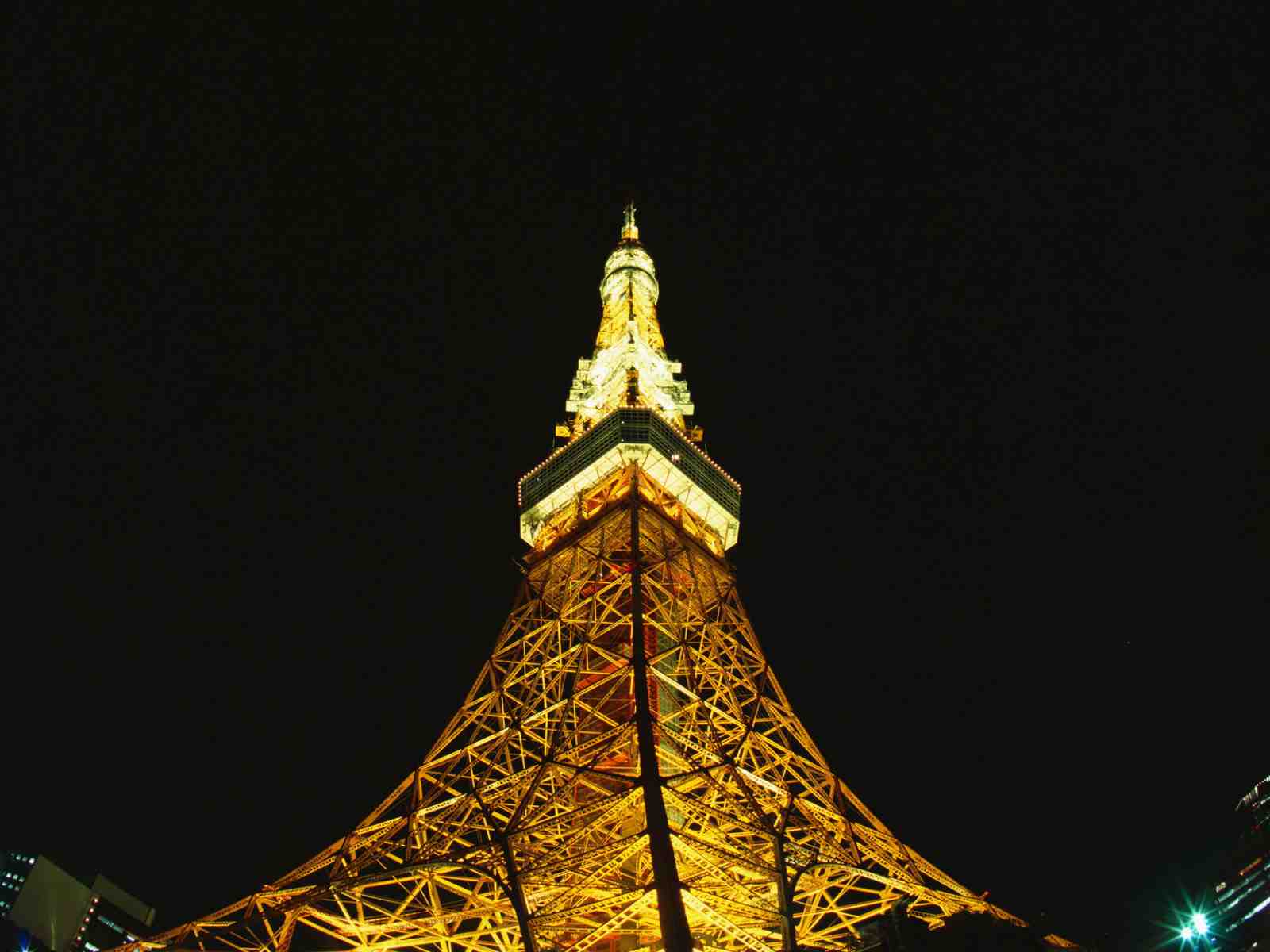 Tokyo Tower at Night "Golden Glow" Wall Art