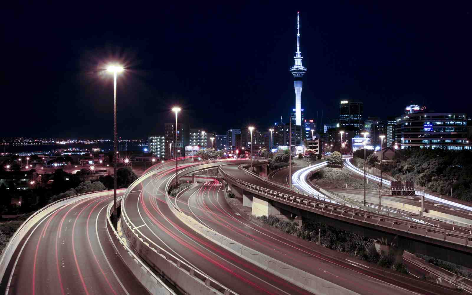 Urban Nightscape Freeway Wall Art