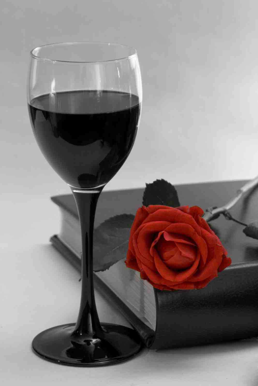 Elegant Red Rose & Wine Glass Wall Art