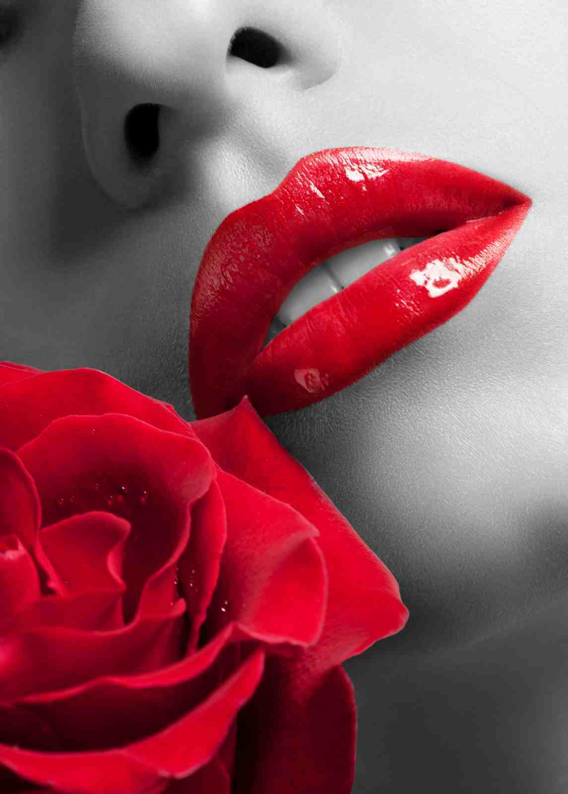 Sensual Red Lips & Rose Wall Art